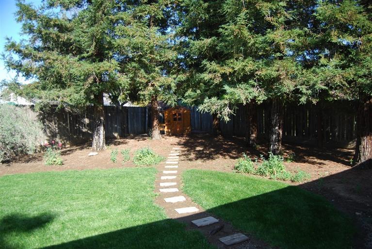 1456 Thompson Court Reedley, CA 93654 - Photo 11 of 14 Gallery Image 11