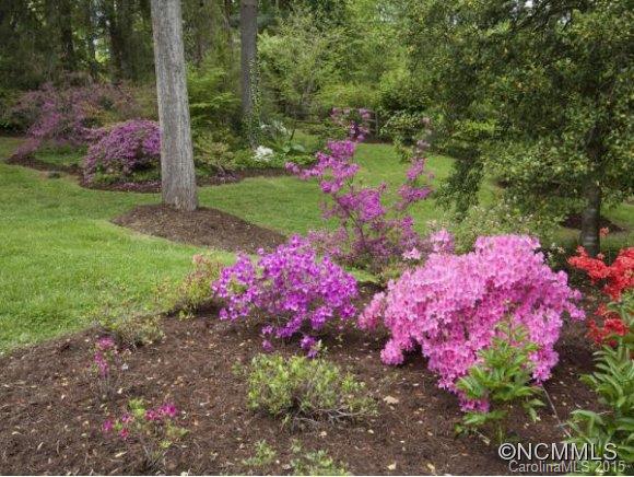 157 Windsor Road Asheville, NC 28804 - Photo 22 of 25 Gallery Image 22