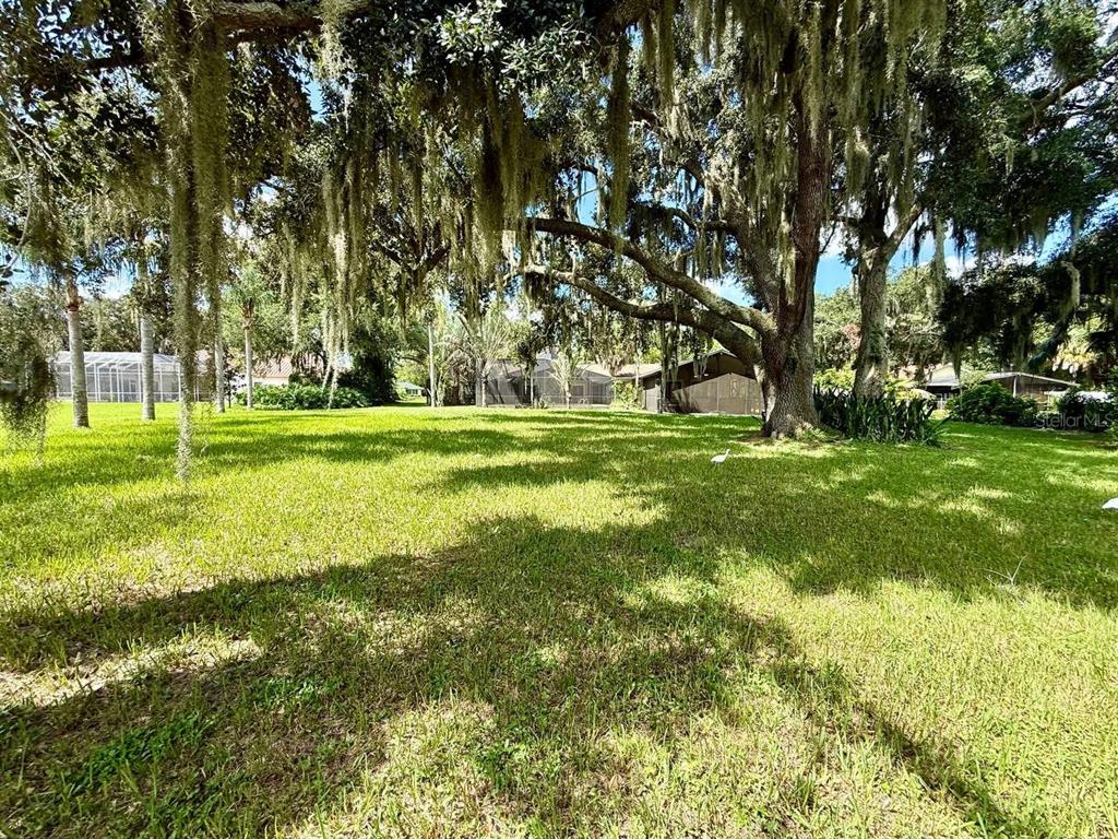 1103 Ballinger Road Lutz, FL 33548 - Photo 89 of 99 Gallery Image 89