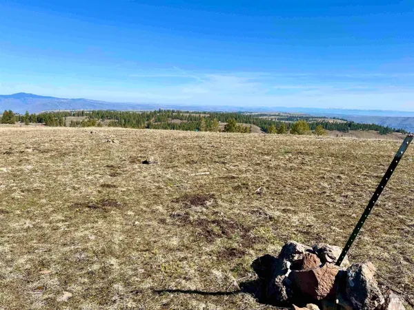 $139,000 | Tbd Pilgrim Pilgrim Ridge Road, White Bird, ID 83554