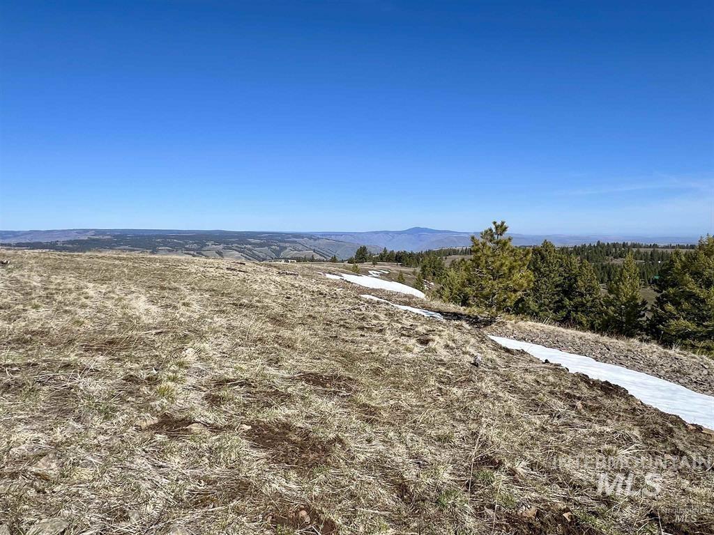 Tbd Pilgrim Pilgrim Ridge Road White Bird, ID 83554 - Photo 3 of 11 View of mountain backdrop