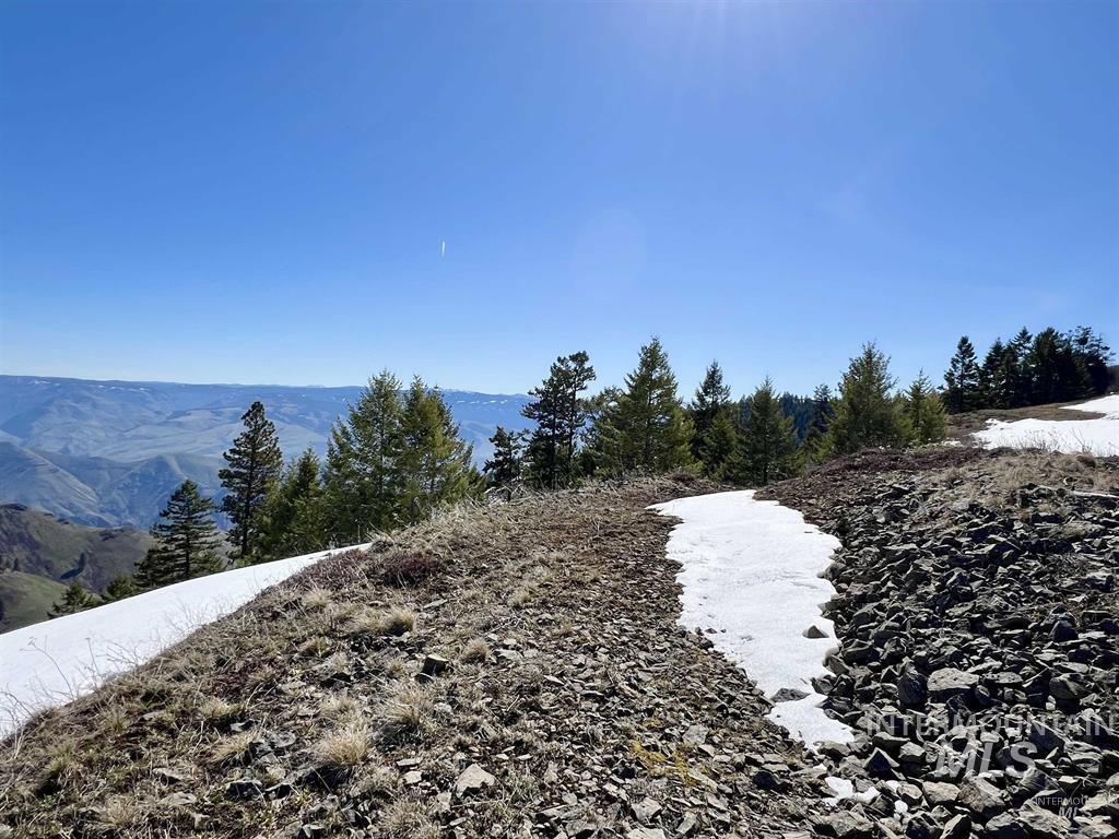 Tbd Pilgrim Pilgrim Ridge Road White Bird, ID 83554 - Photo 4 of 11 View of mountain backdrop