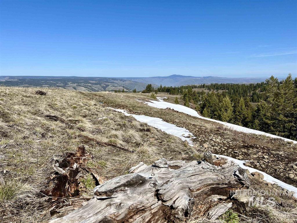 Tbd Pilgrim Pilgrim Ridge Road White Bird, ID 83554 - Photo 5 of 11 View of mountain background