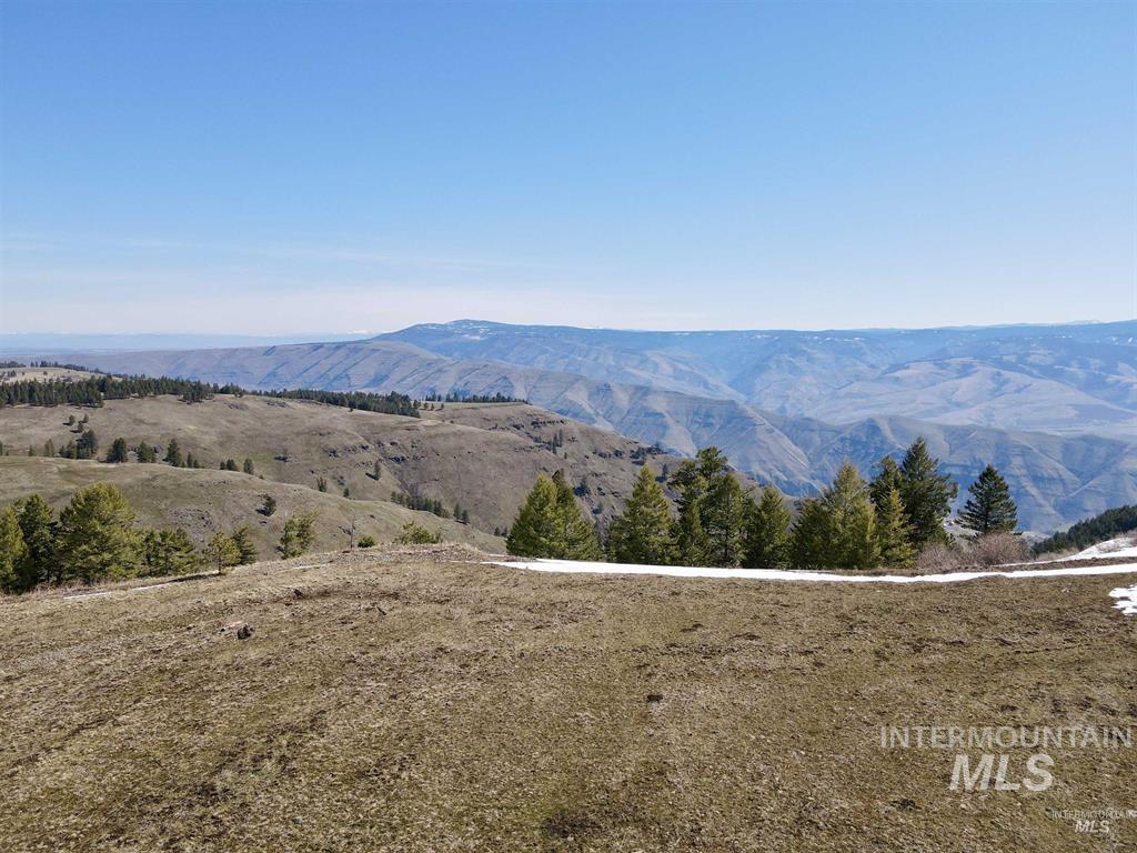 Tbd Pilgrim Pilgrim Ridge Road White Bird, ID 83554 - Photo 6 of 11 View of mountain background