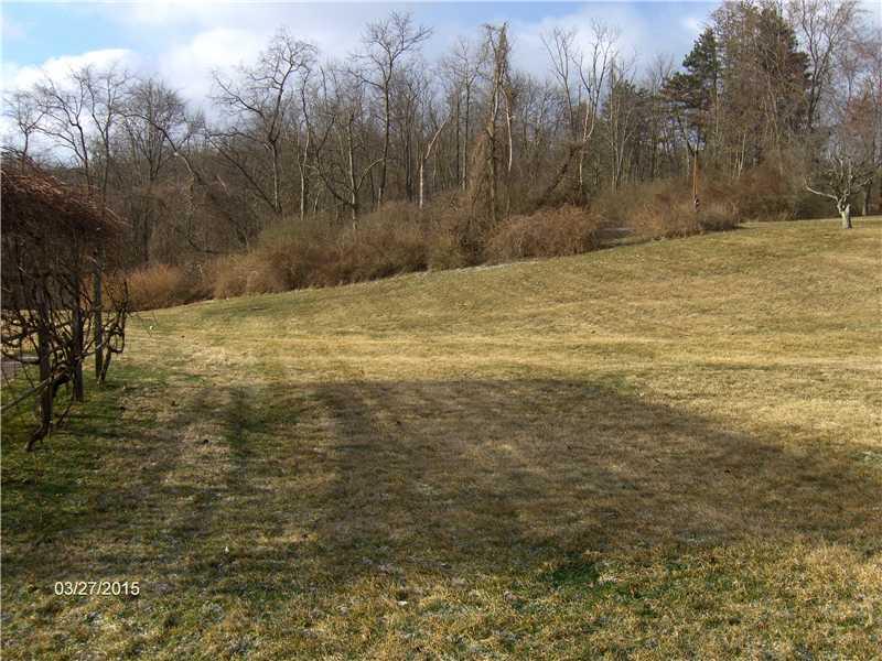 1338 Langeloth Road Burgettstown, PA 15021 - Photo 17 of 17 Yard/Garden.