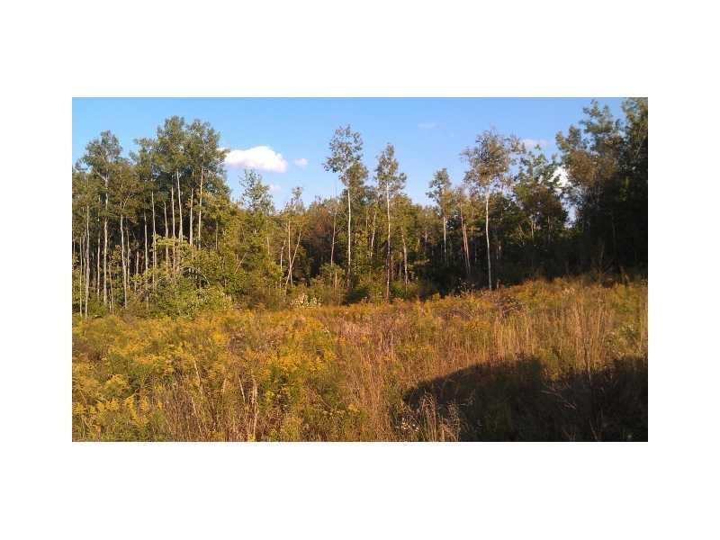1 Chadwick Pt Road Danforth, ME 04424 - Photo 4 of 8 Land/Lot.