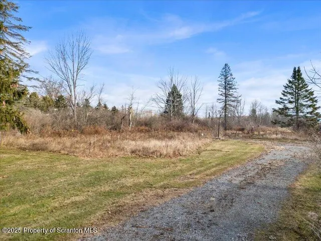 a view of large trees with a yard