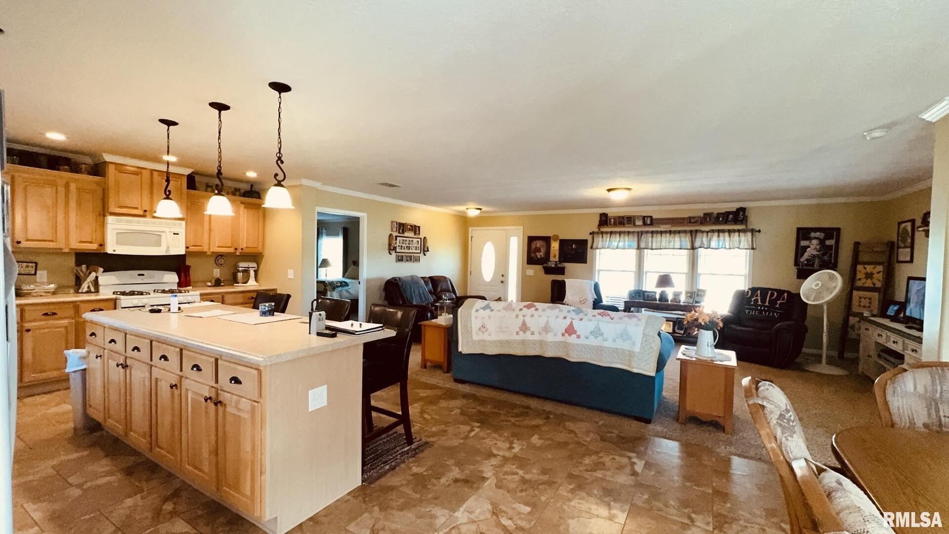 5197 East Emerson City Road Scheller, IL 62883 - Photo 13 of 27