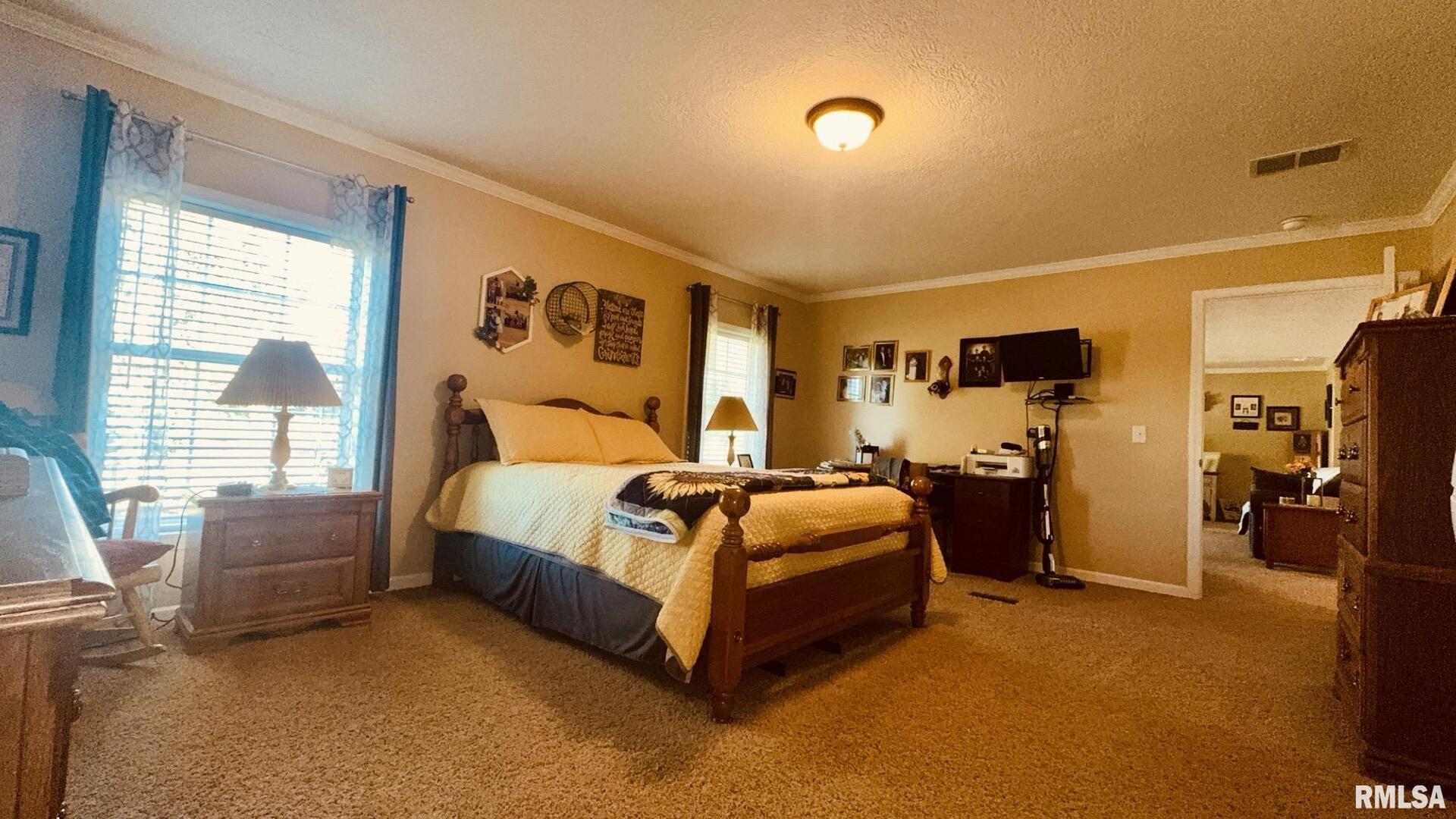 5197 East Emerson City Road Scheller, IL 62883 - Photo 21 of 27