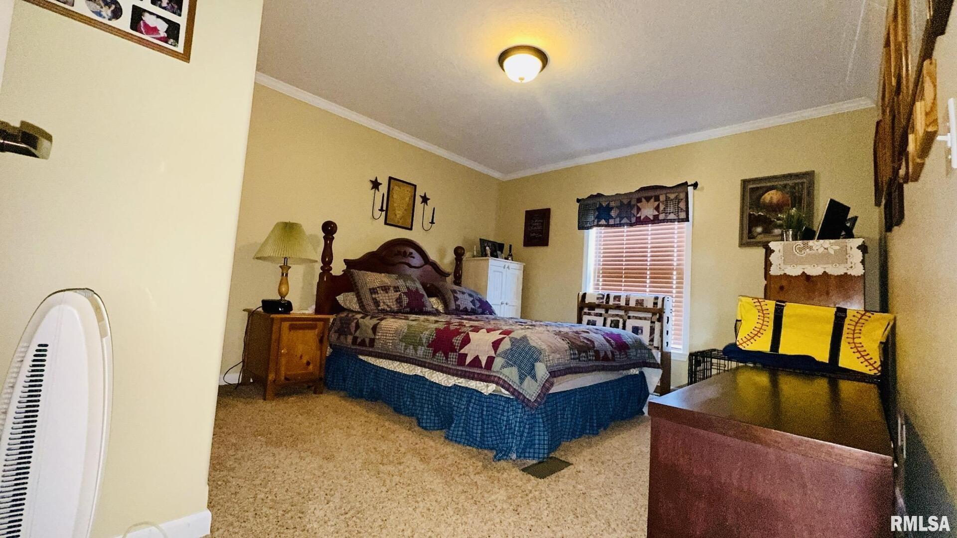 5197 East Emerson City Road Scheller, IL 62883 - Photo 24 of 27