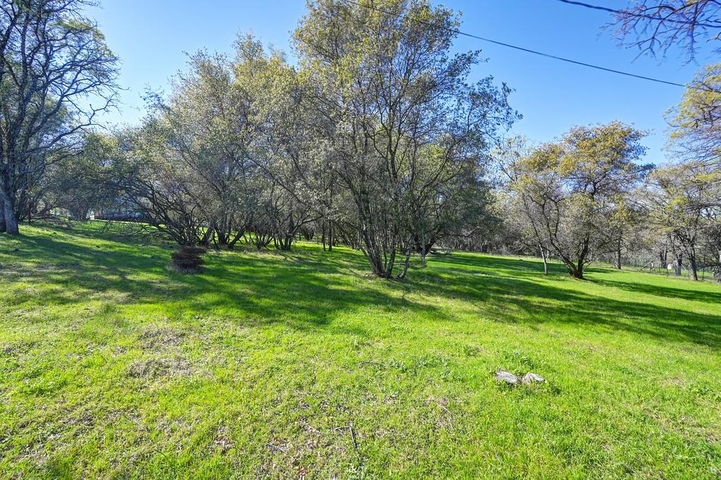 5508 High Sierra Road Pilot Hill, CA 95664 - Photo 65 of 86 Gallery Image 65