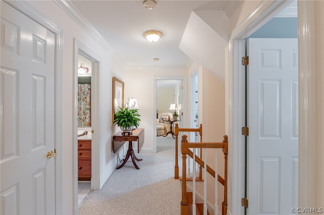 3630 Derby Ridge Loop Midlothian, VA 23113 - Photo 25 of 42 Gallery Image 25