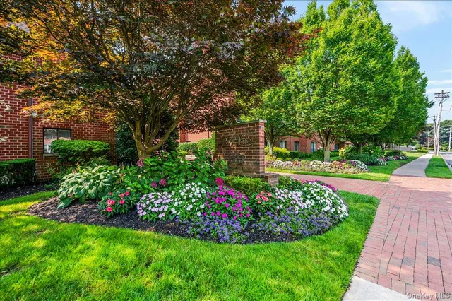 a view of a garden with large trees