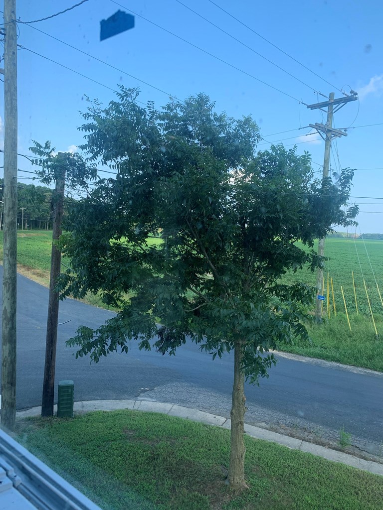 17518 Mappsburg Road Painter, VA 23420 - Photo 16 of 17