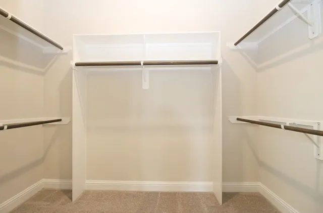 a view of a yard in front of a house with a large tree