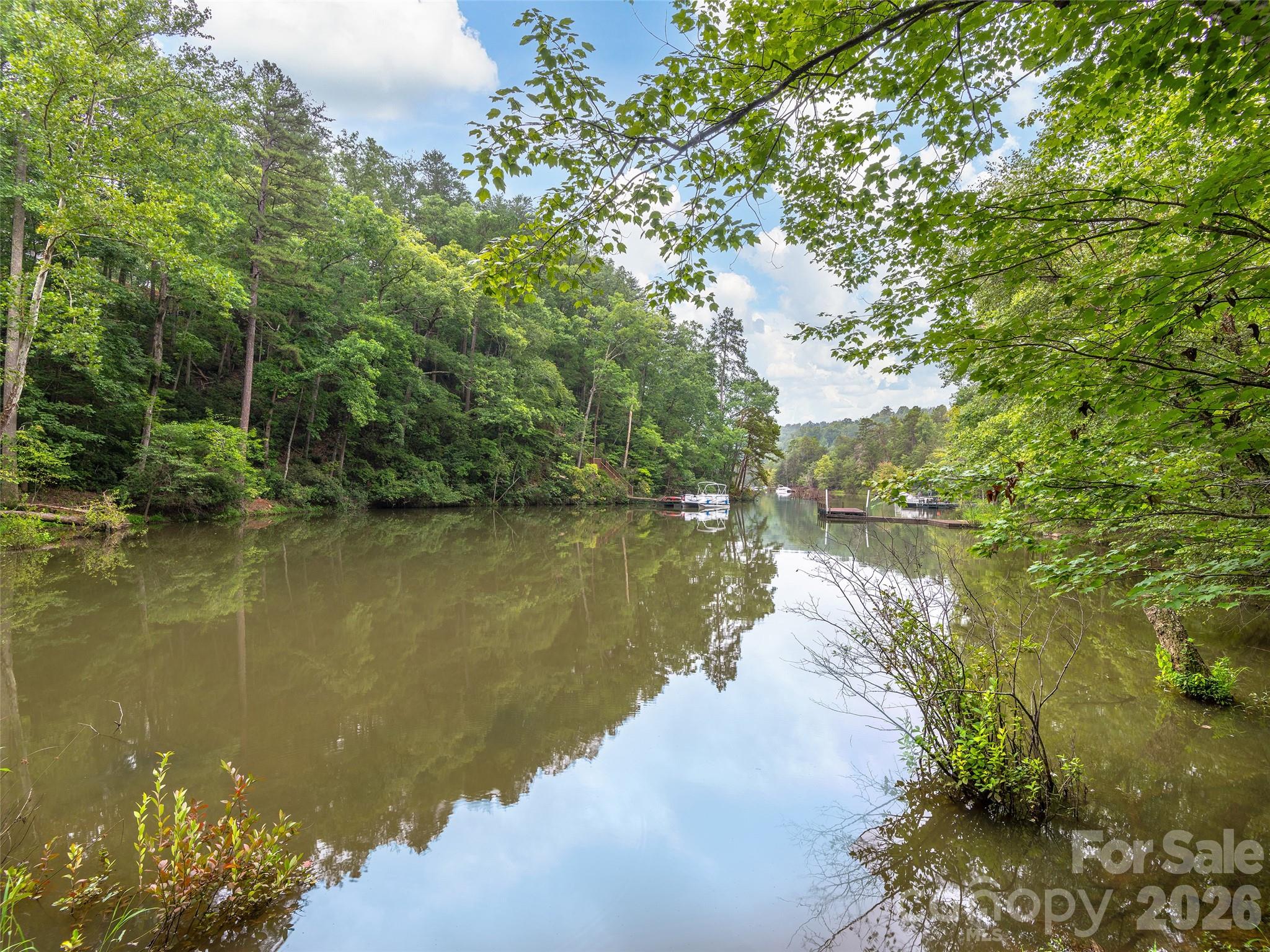 Lot #28 Parkway North Rd Mill Spring, Unit 28 Mill Spring, NC 28756 - Photo 7 of 17