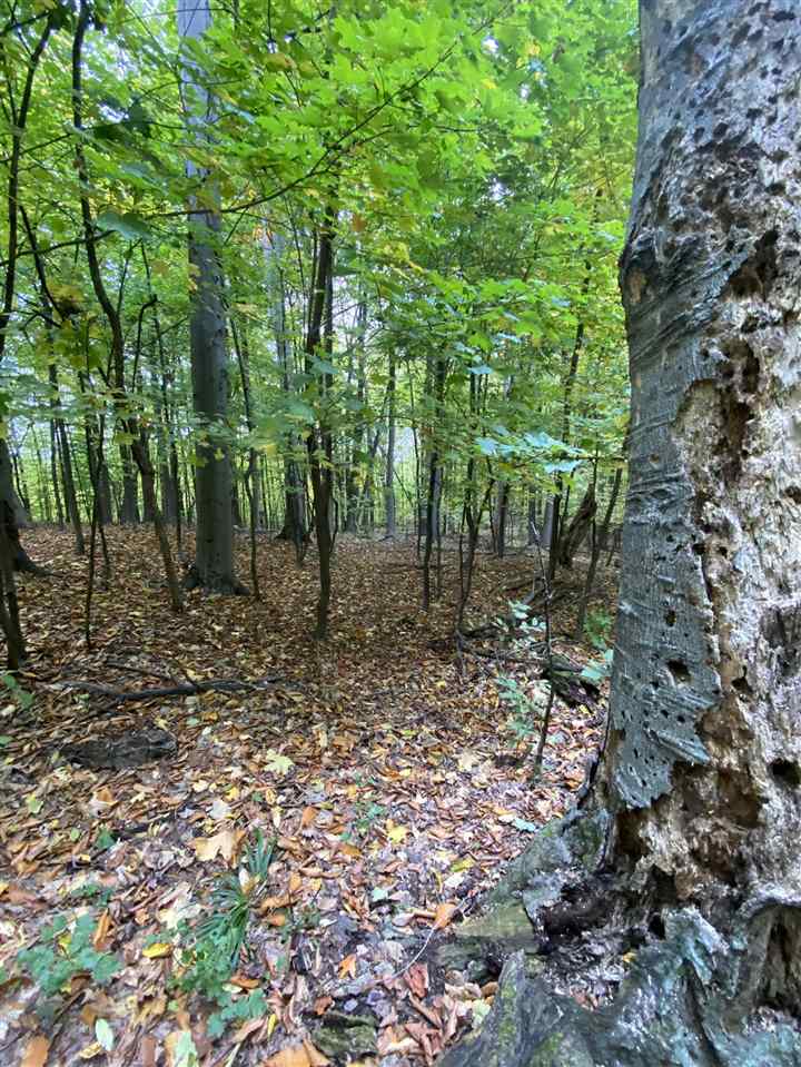 11-acres Milarch Road Onekama, MI 49675 - Photo 14 of 37