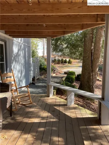 a yard with lots of trees