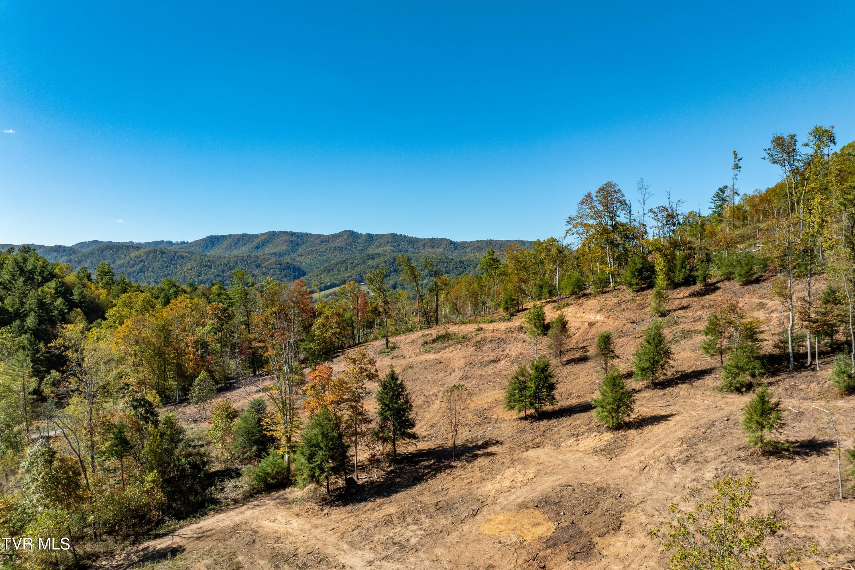 -tbd Noah Snyder Road Mountain City, TN 37683 - Photo 17 of 50 Lot 1