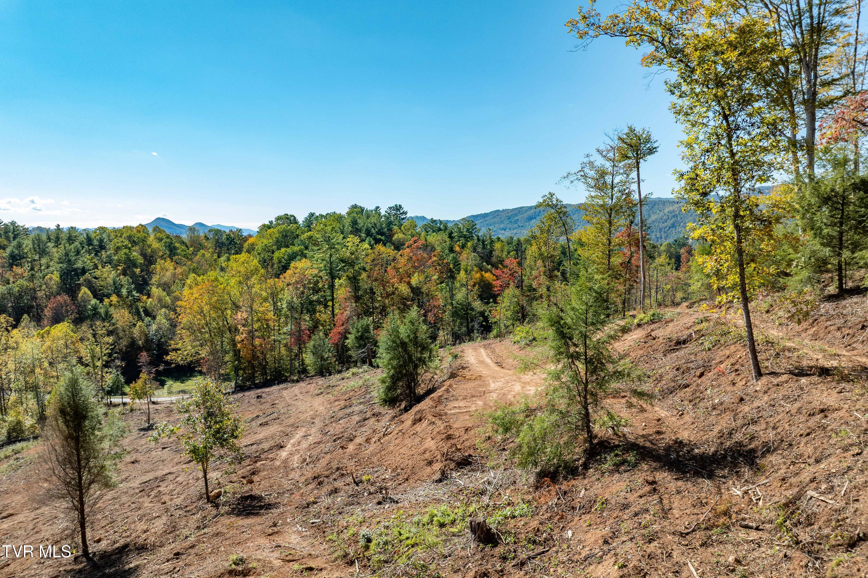 -tbd Noah Snyder Road Mountain City, TN 37683 - Photo 18 of 50 Lot 1