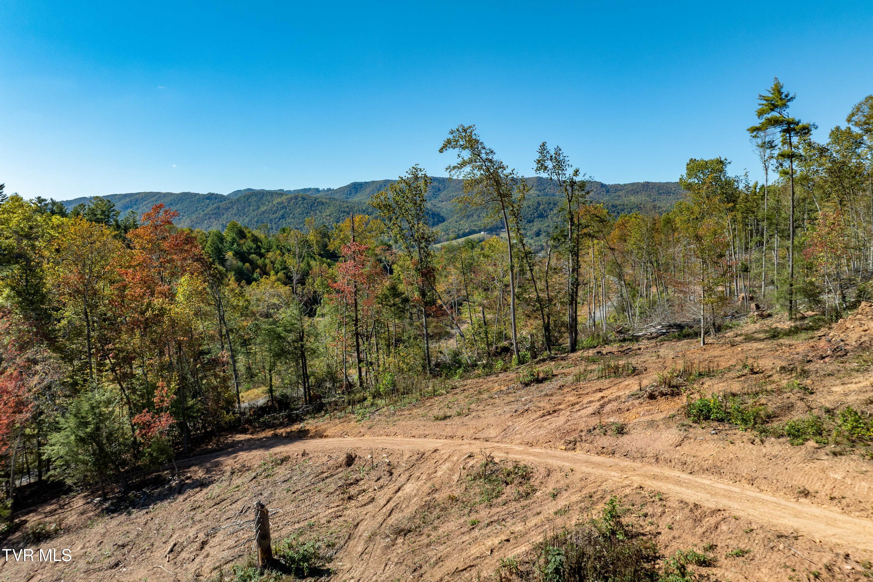-tbd Noah Snyder Road Mountain City, TN 37683 - Photo 19 of 50 Lot 1