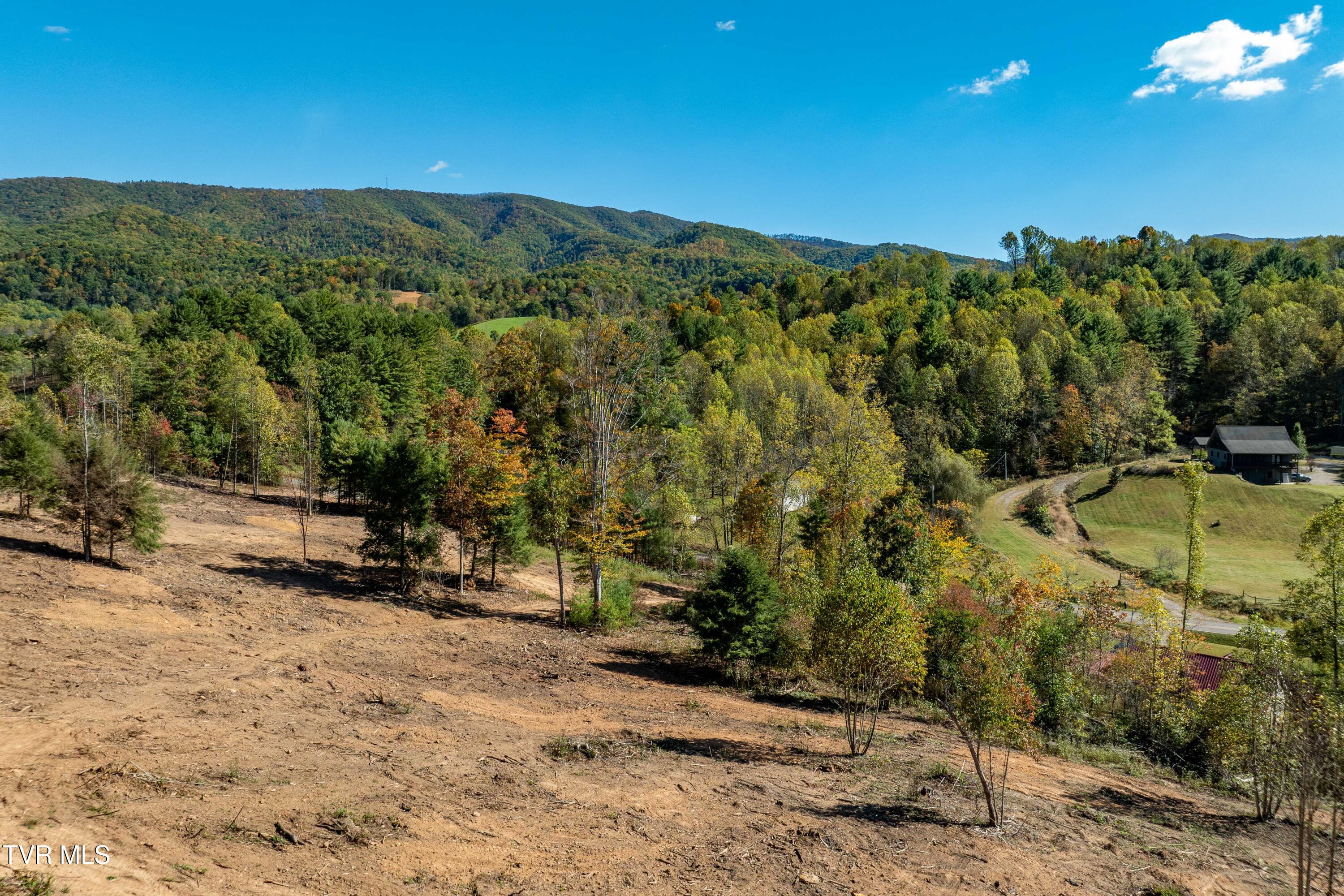 -tbd Noah Snyder Road Mountain City, TN 37683 - Photo 20 of 50 Lot 1