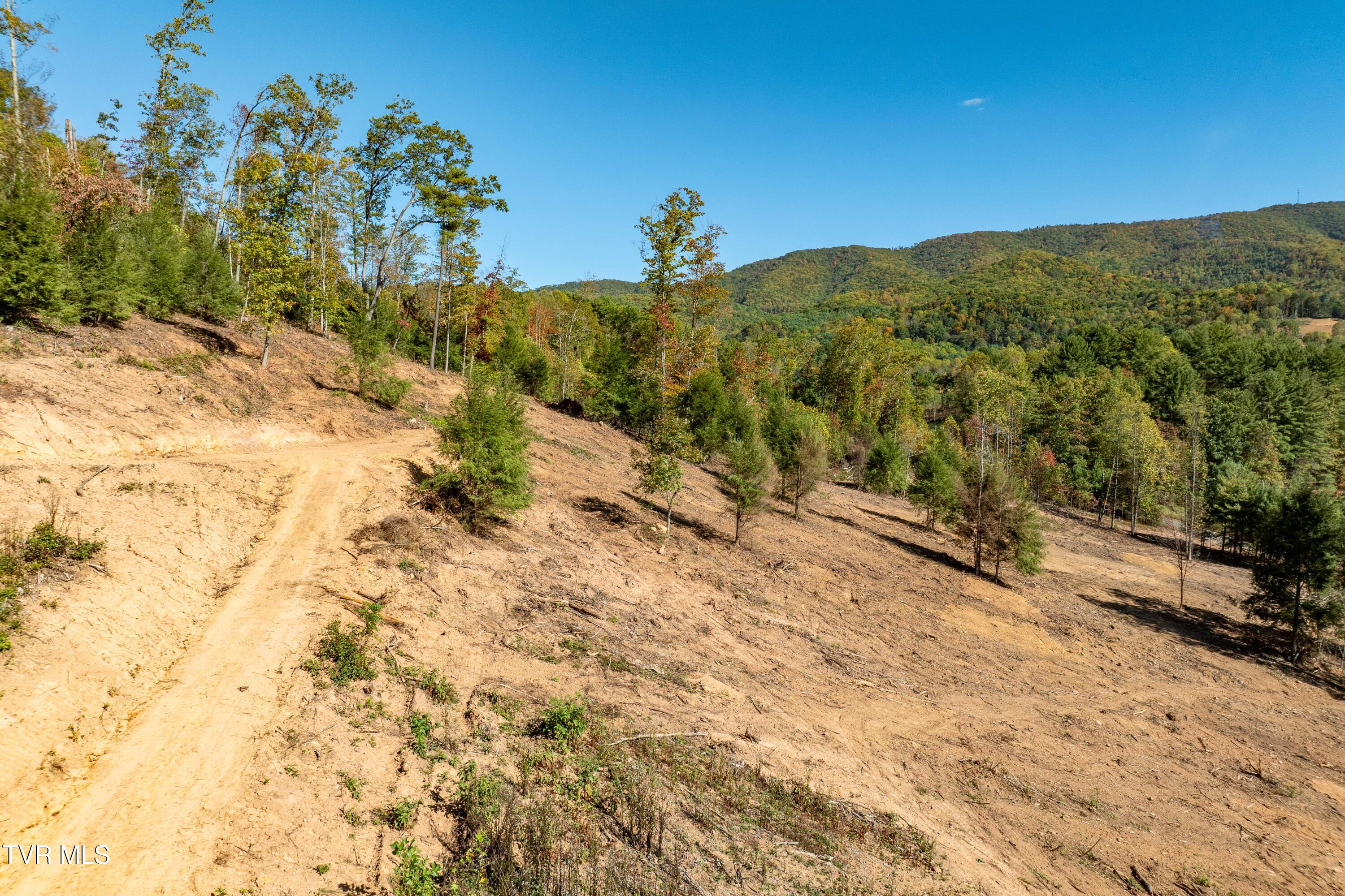 -tbd Noah Snyder Road Mountain City, TN 37683 - Photo 21 of 50 Lot 1