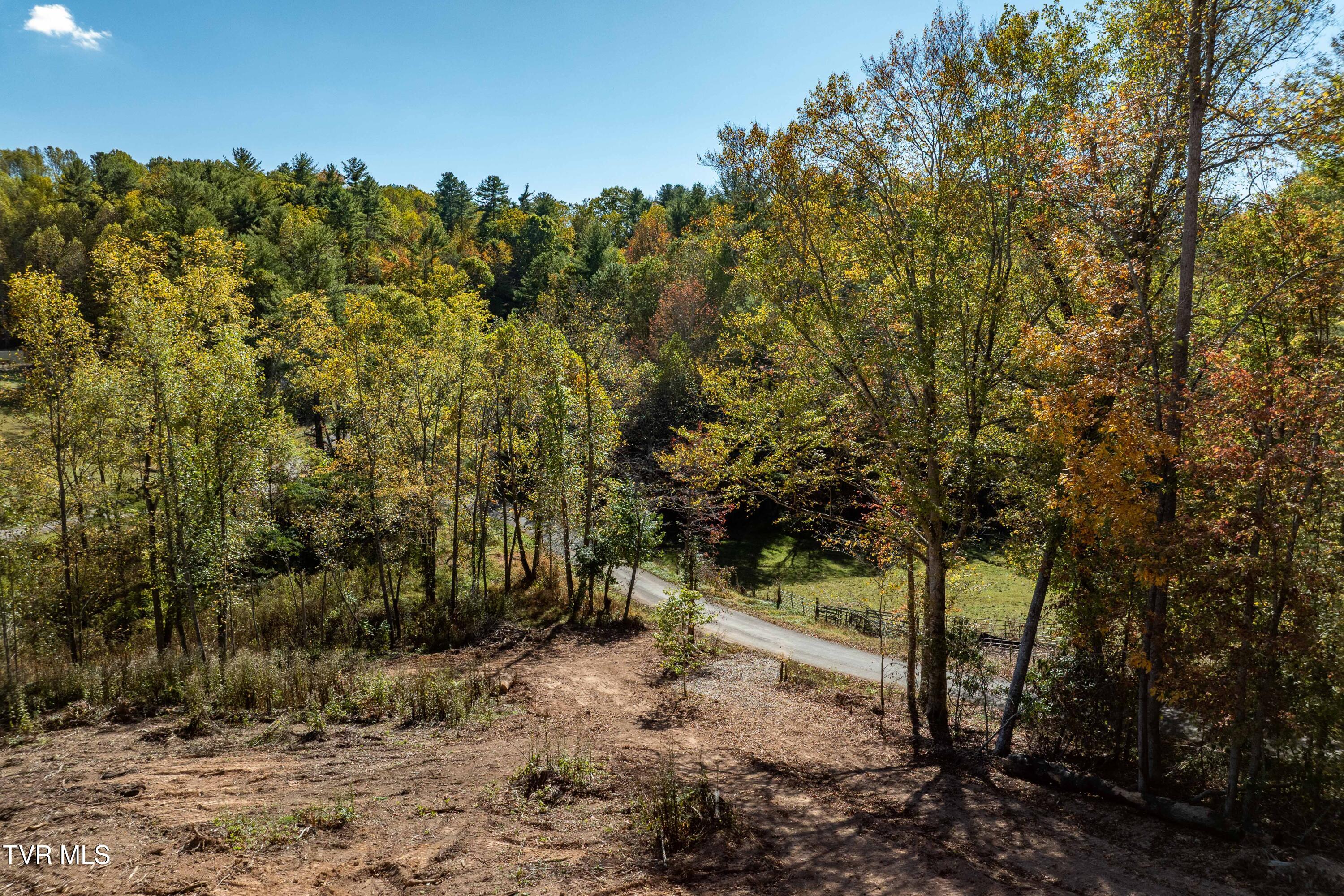 -tbd Noah Snyder Road Mountain City, TN 37683 - Photo 23 of 50 Lot 1