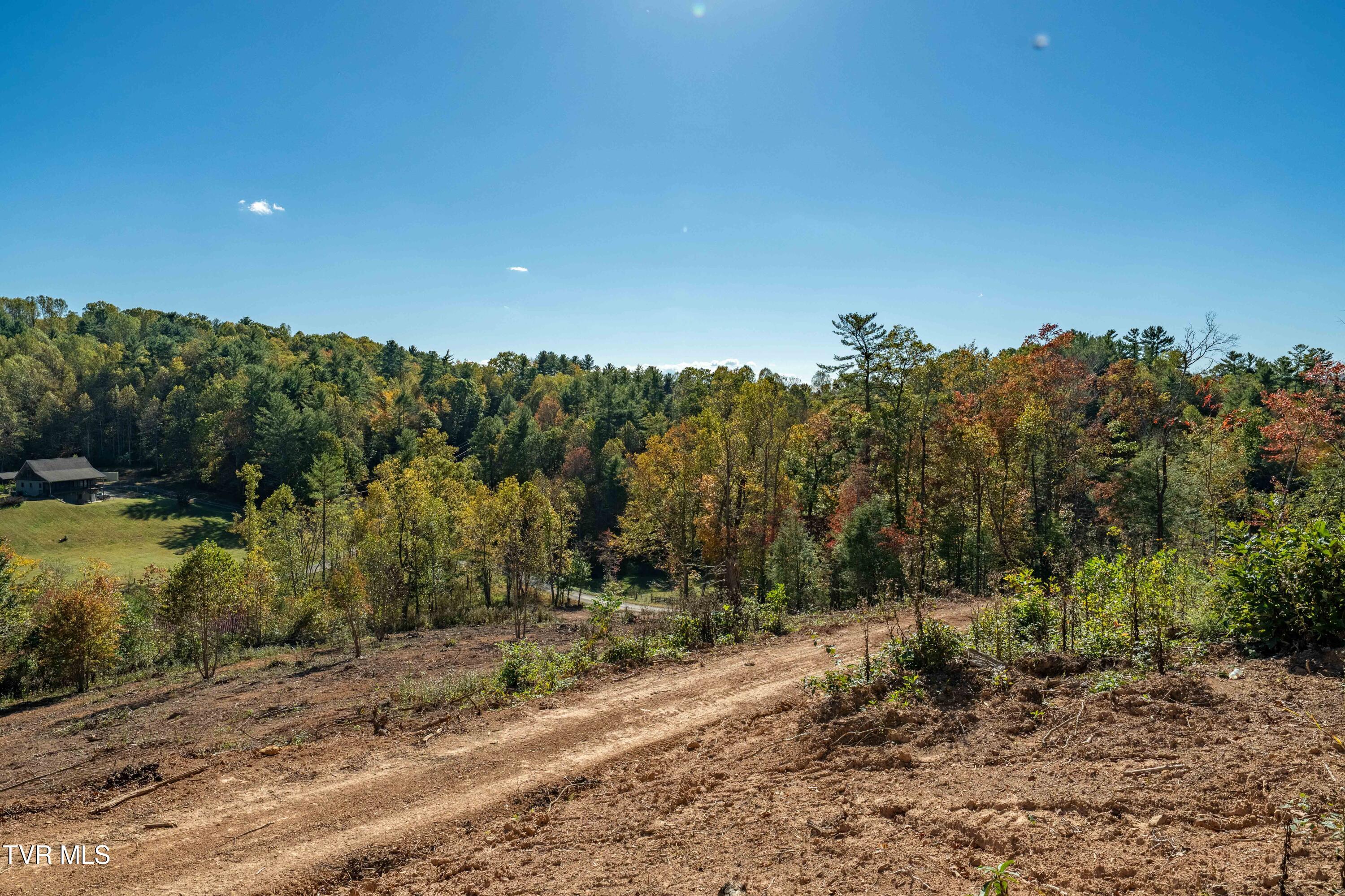 -tbd Noah Snyder Road Mountain City, TN 37683 - Photo 28 of 50 Lot 1
