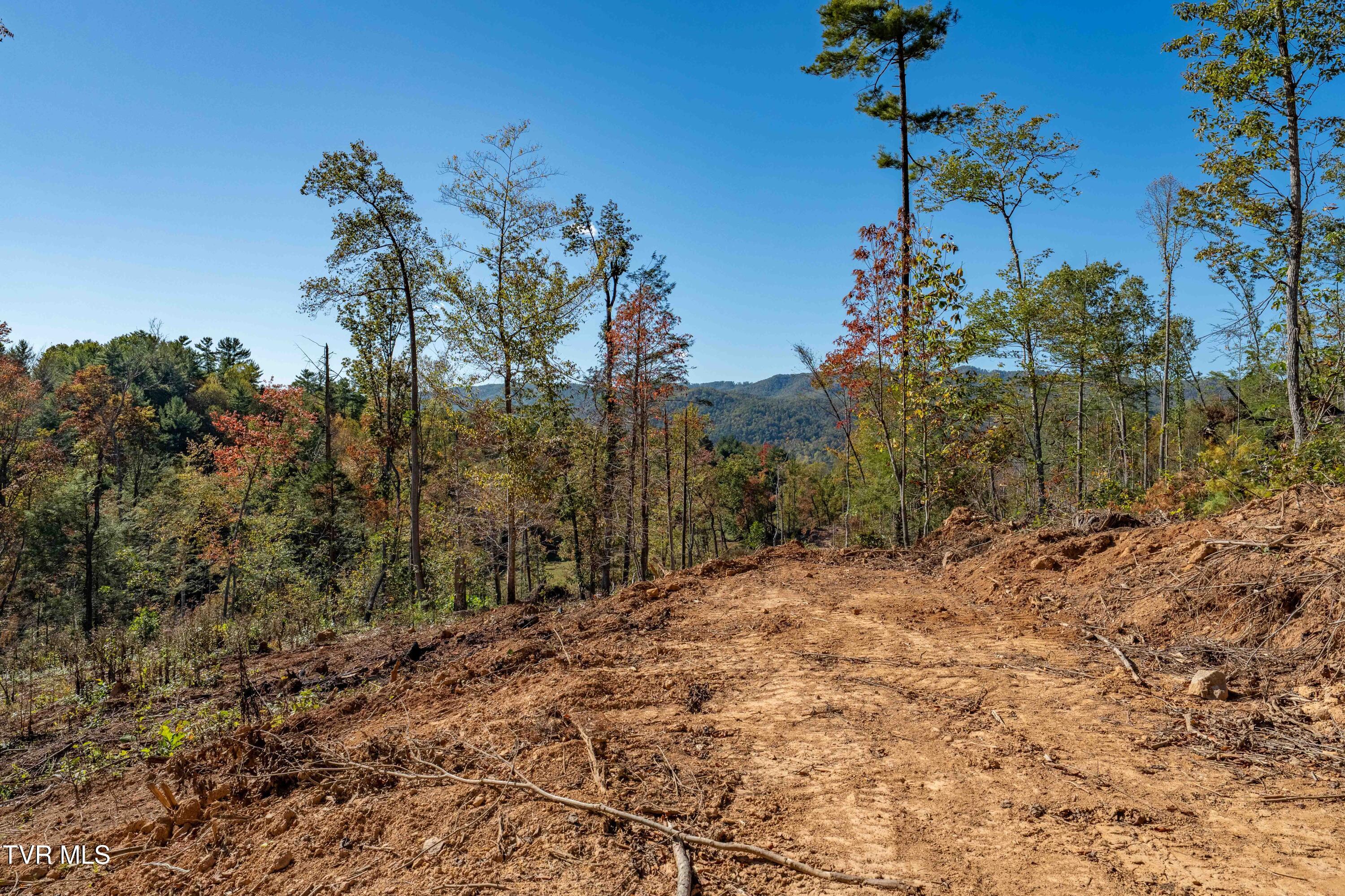 -tbd Noah Snyder Road Mountain City, TN 37683 - Photo 30 of 50 Lot 1