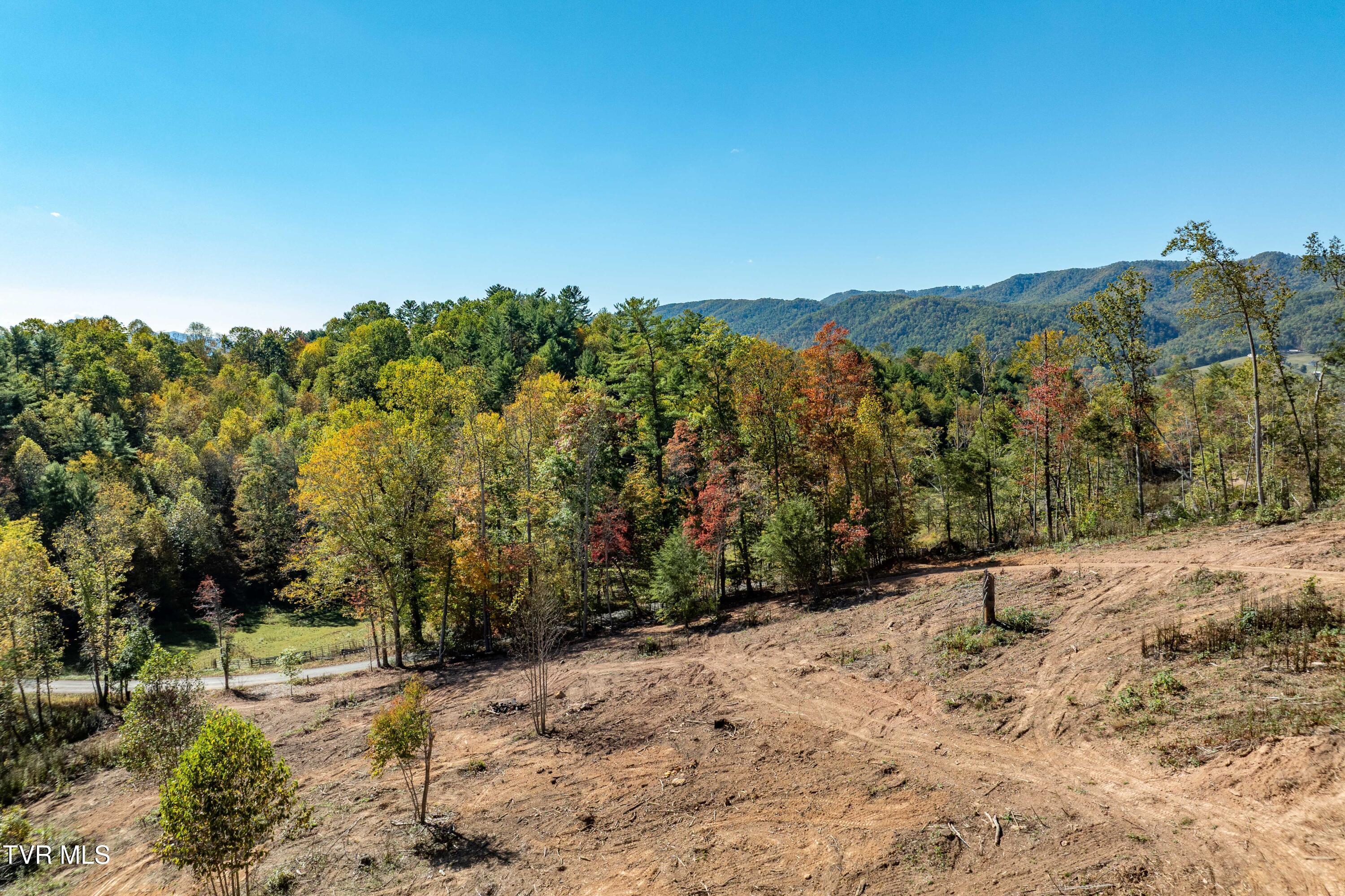 -tbd Noah Snyder Road Mountain City, TN 37683 - Photo 3 of 50 Lot 1
