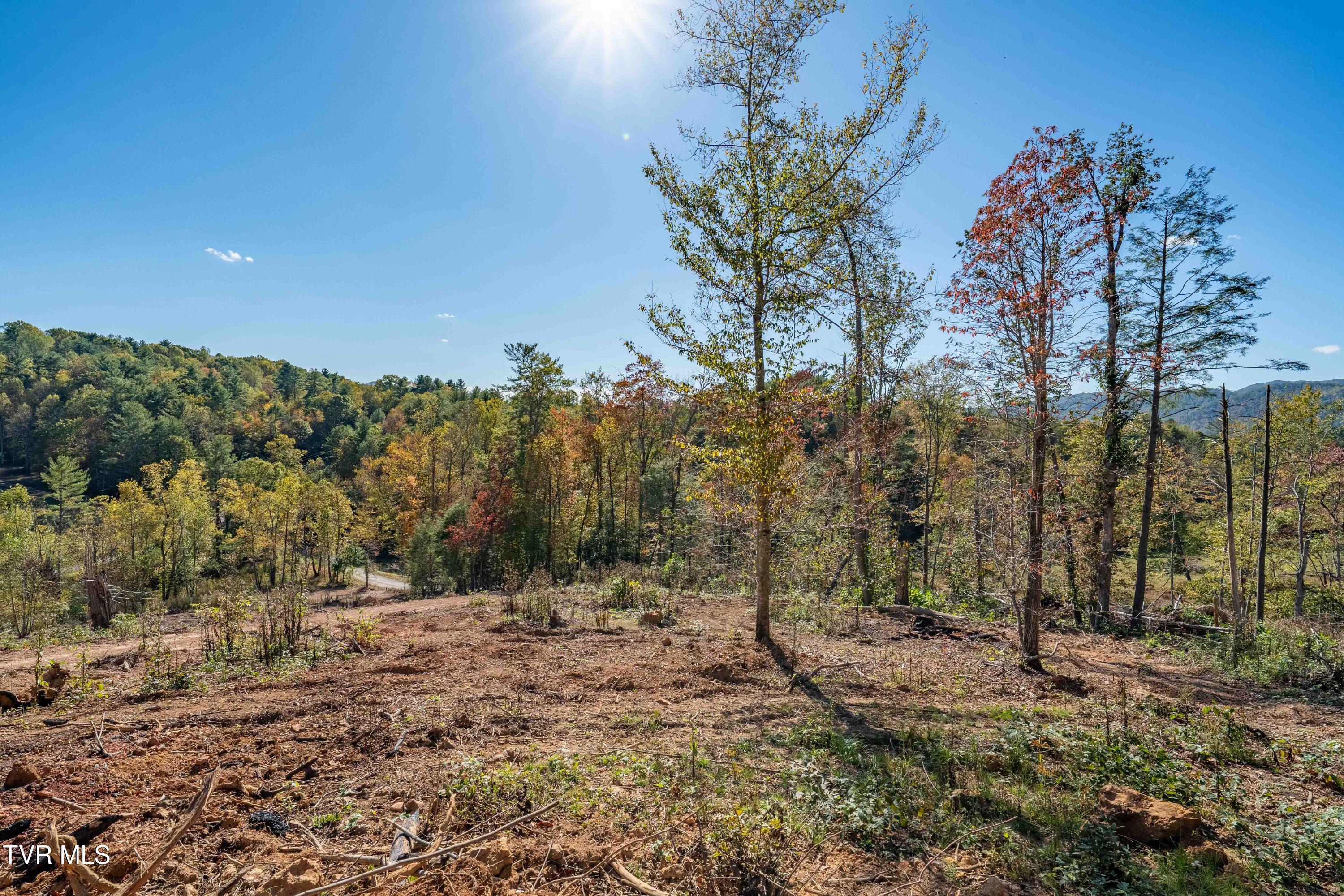 -tbd Noah Snyder Road Mountain City, TN 37683 - Photo 31 of 50 Lot 1