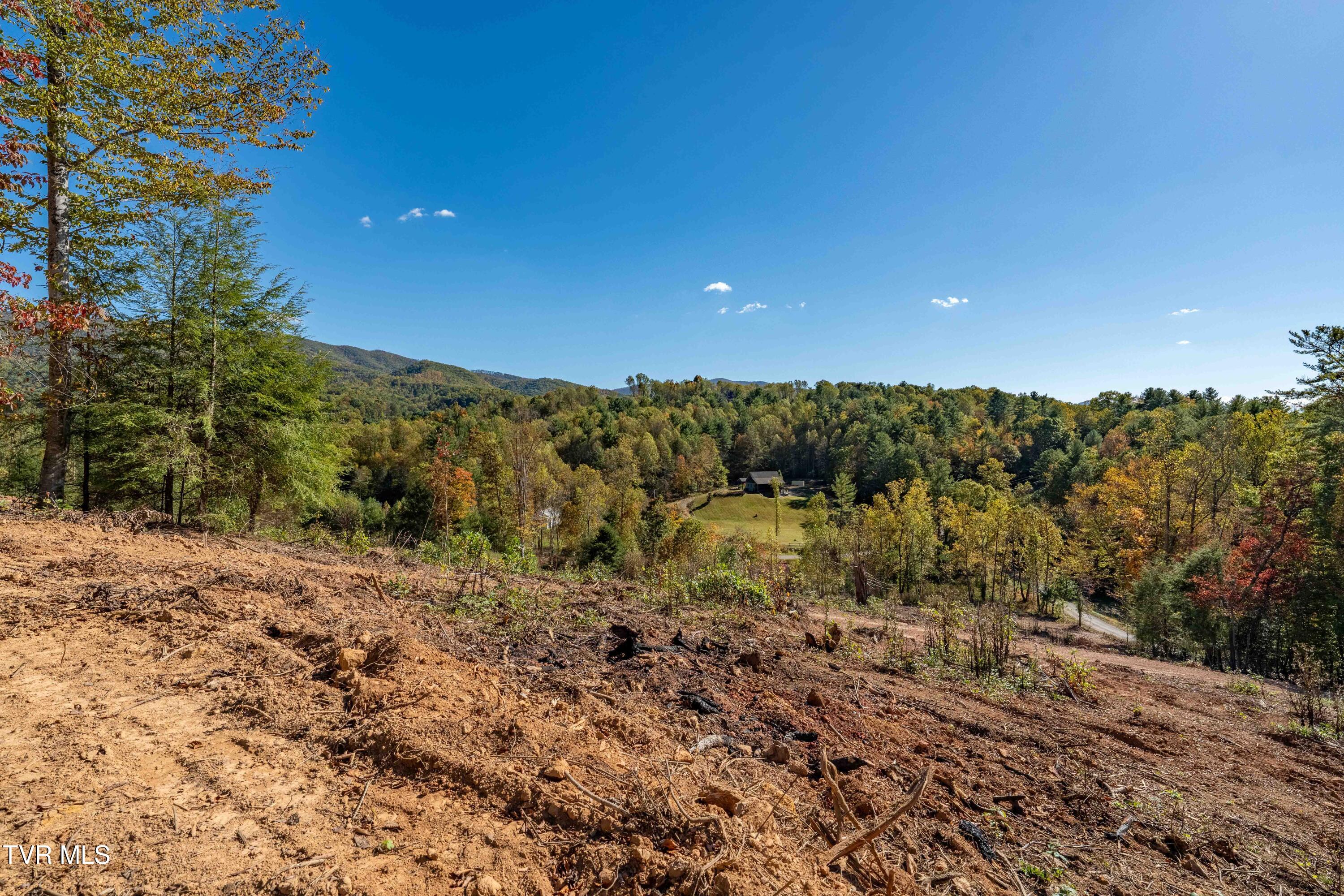 -tbd Noah Snyder Road Mountain City, TN 37683 - Photo 32 of 50 Lot 1