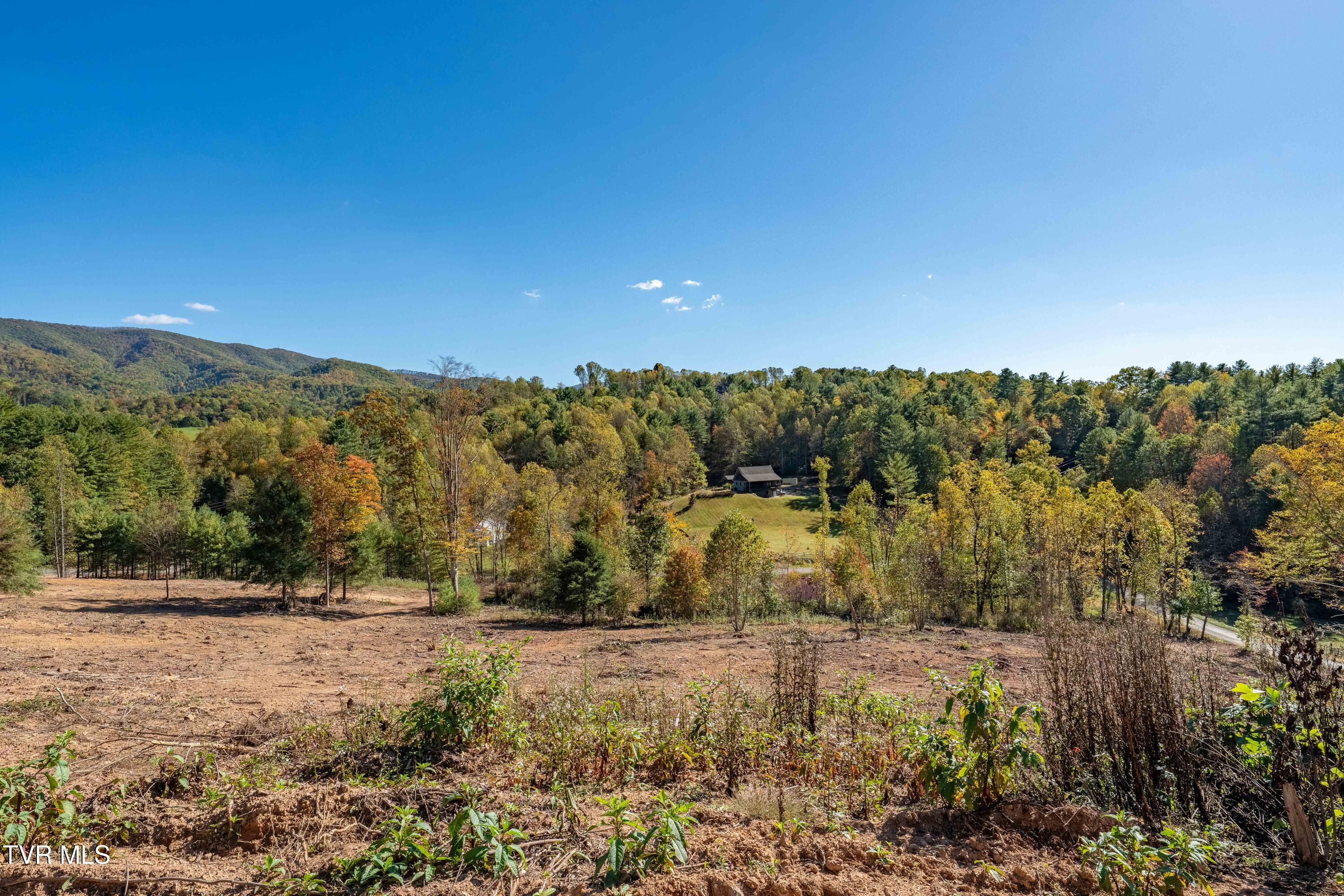 -tbd Noah Snyder Road Mountain City, TN 37683 - Photo 34 of 50 Lot 1