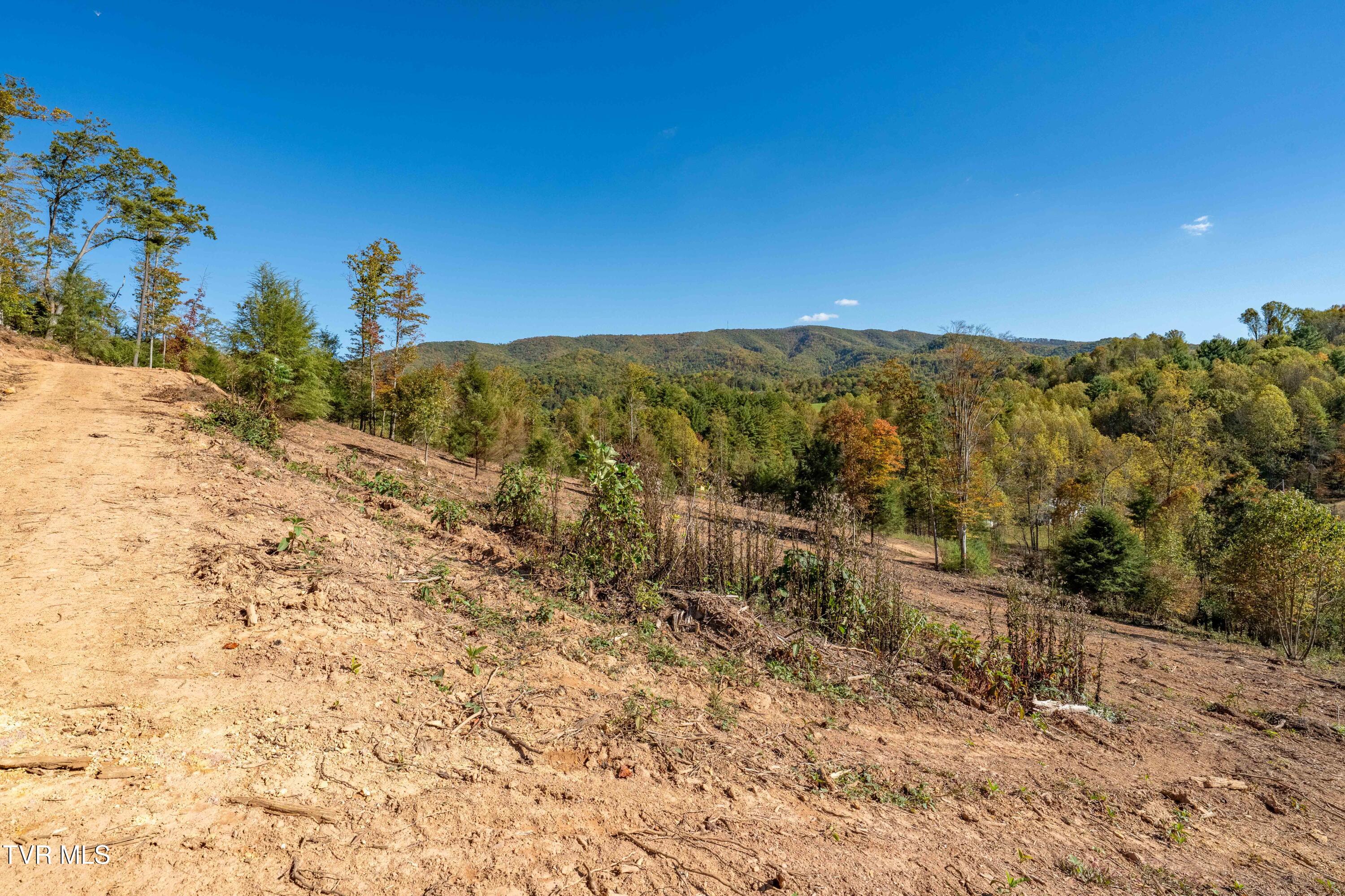 -tbd Noah Snyder Road Mountain City, TN 37683 - Photo 35 of 50 Lot 1