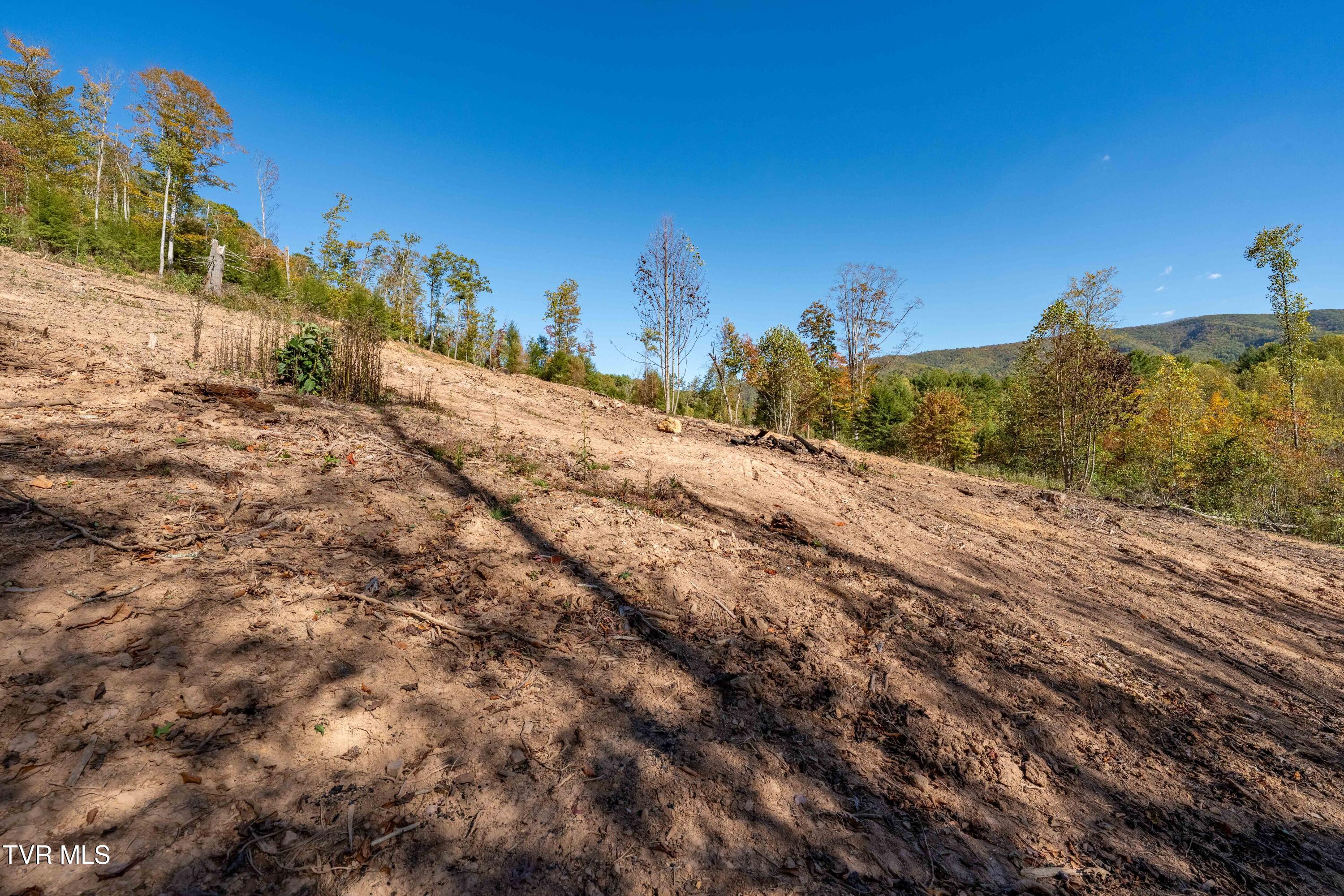 -tbd Noah Snyder Road Mountain City, TN 37683 - Photo 38 of 50 Lot 1