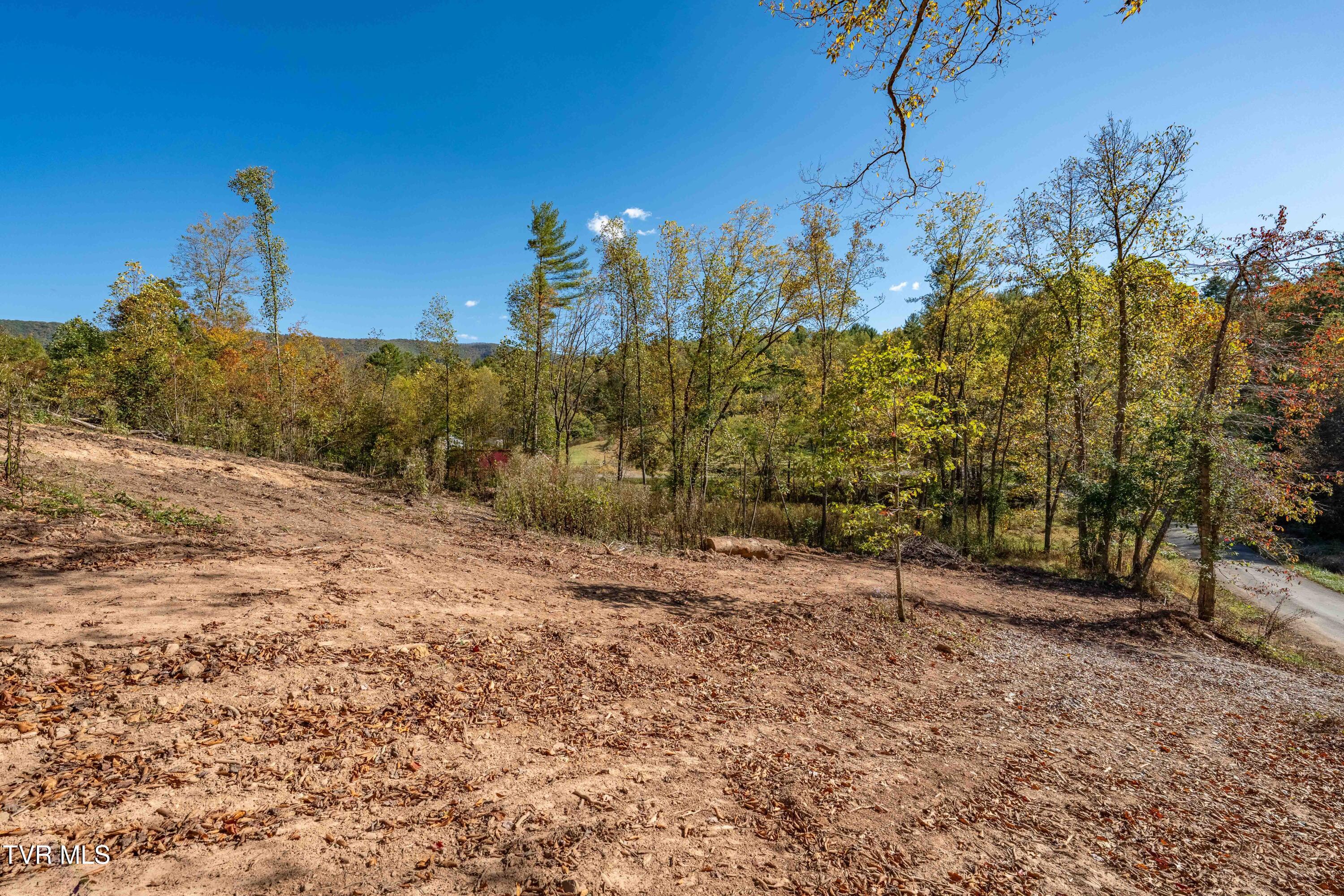 -tbd Noah Snyder Road Mountain City, TN 37683 - Photo 39 of 50 Lot 1