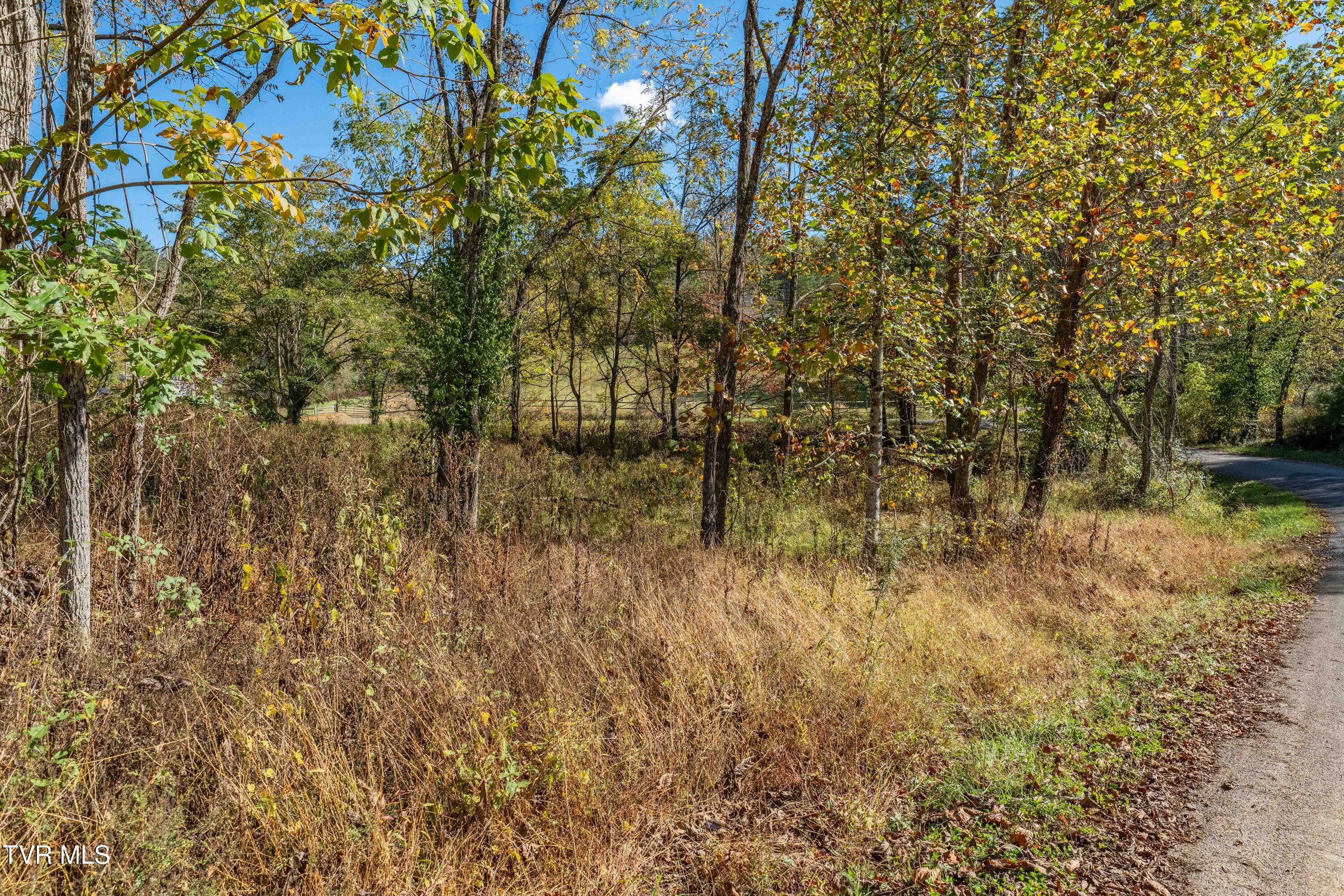-tbd Noah Snyder Road Mountain City, TN 37683 - Photo 42 of 50 Lot 1
