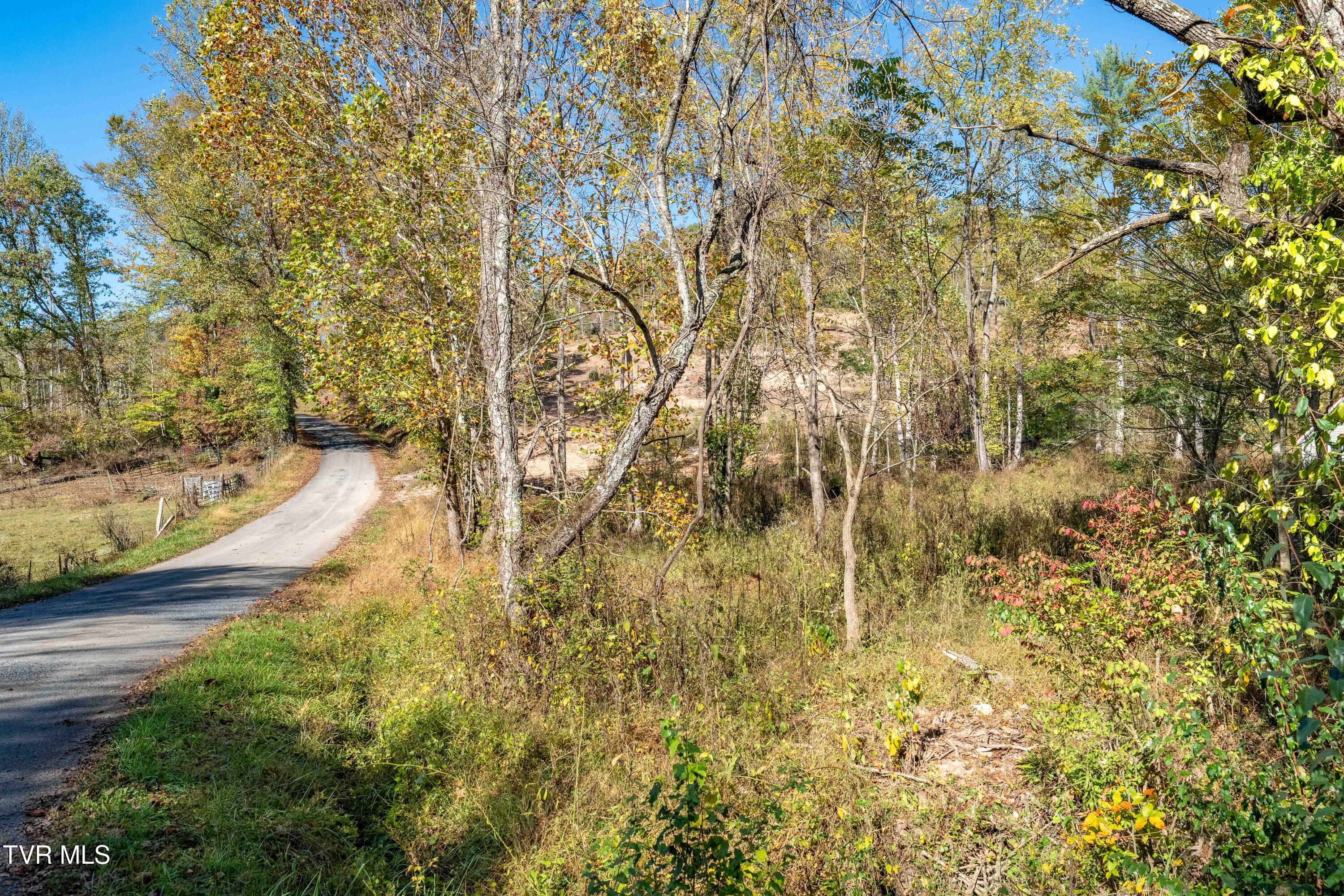 -tbd Noah Snyder Road Mountain City, TN 37683 - Photo 43 of 50 TBD Noah Snyder Road