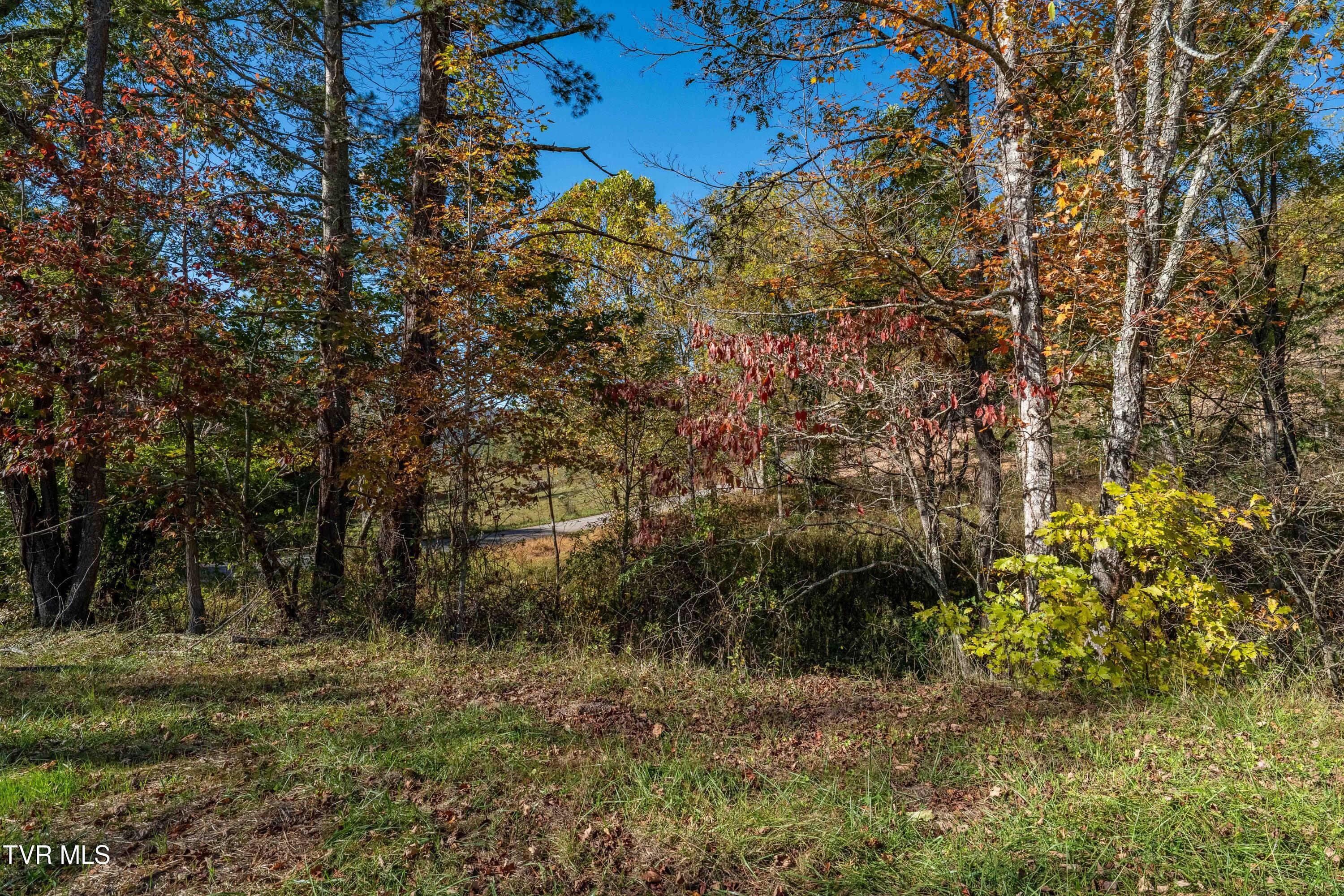 -tbd Noah Snyder Road Mountain City, TN 37683 - Photo 44 of 50 Lot 1