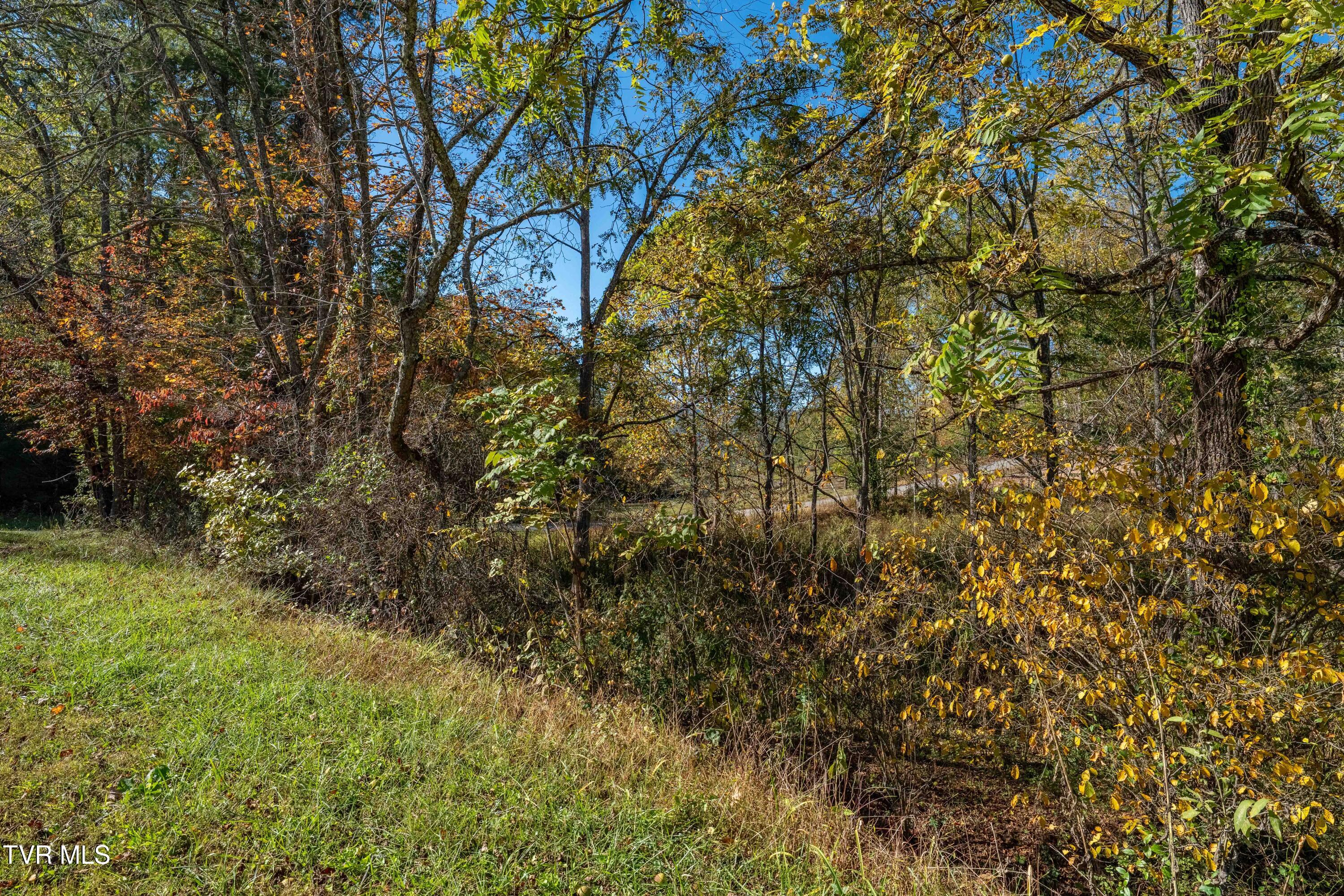 -tbd Noah Snyder Road Mountain City, TN 37683 - Photo 45 of 50 Lot 1