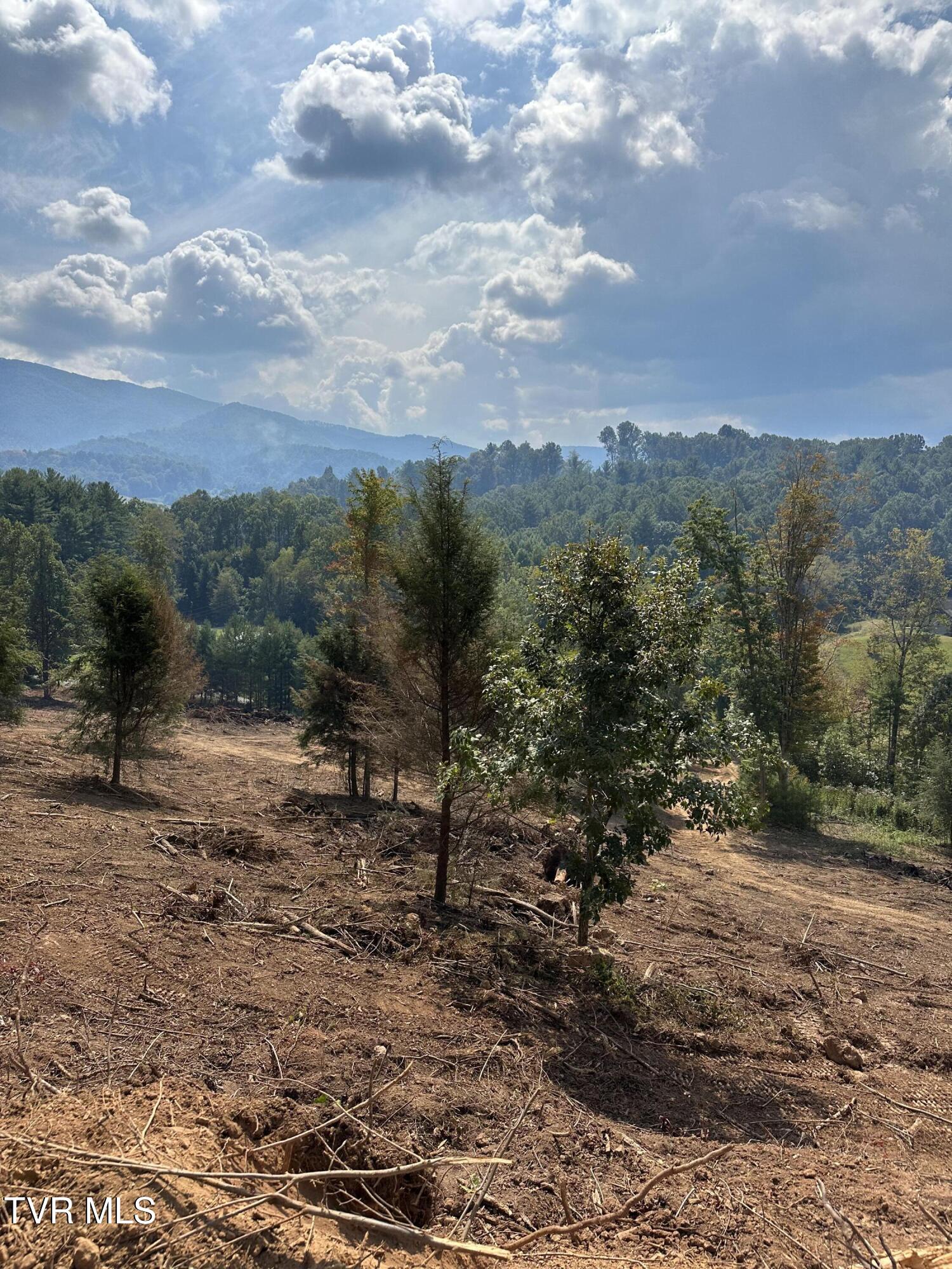 -tbd Noah Snyder Road Mountain City, TN 37683 - Photo 46 of 50 IMG_5620