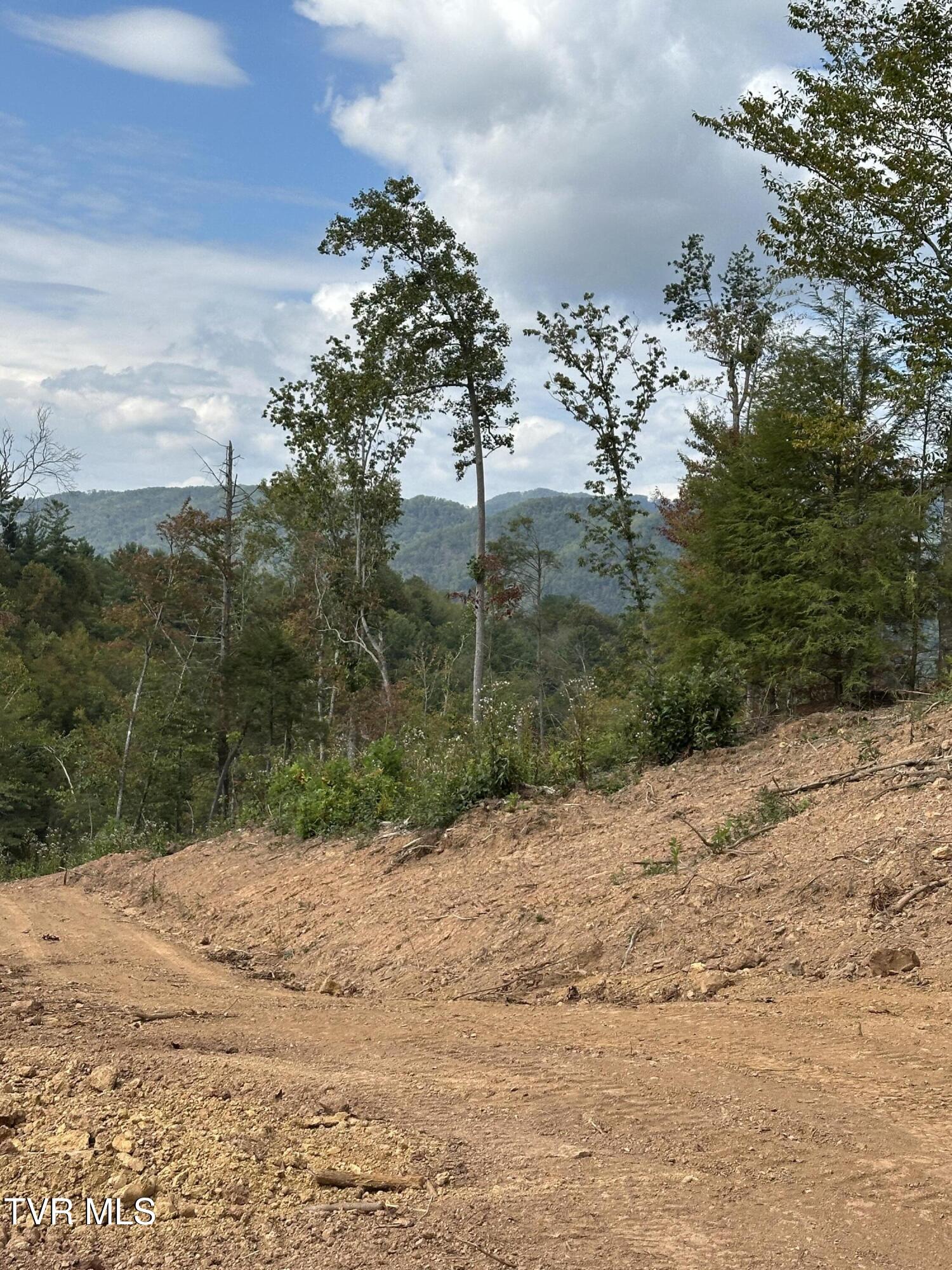 -tbd Noah Snyder Road Mountain City, TN 37683 - Photo 47 of 50 IMG_5663