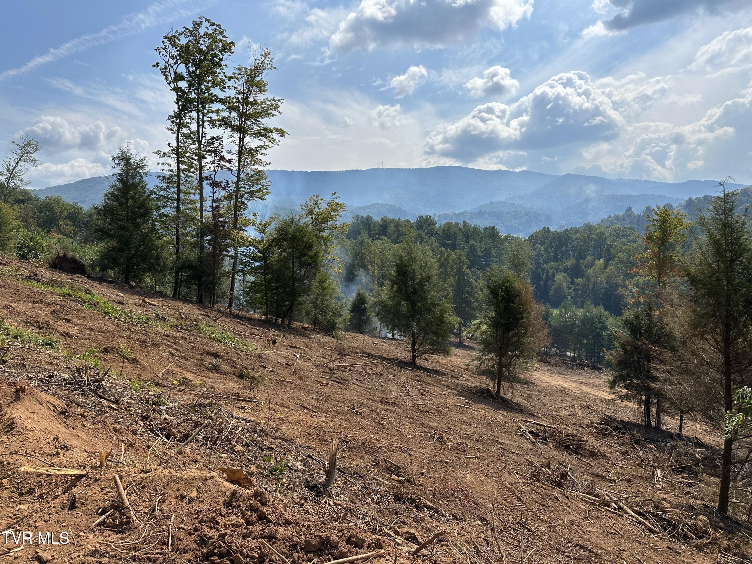 -tbd Noah Snyder Road Mountain City, TN 37683 - Photo 49 of 50 IMG_5619