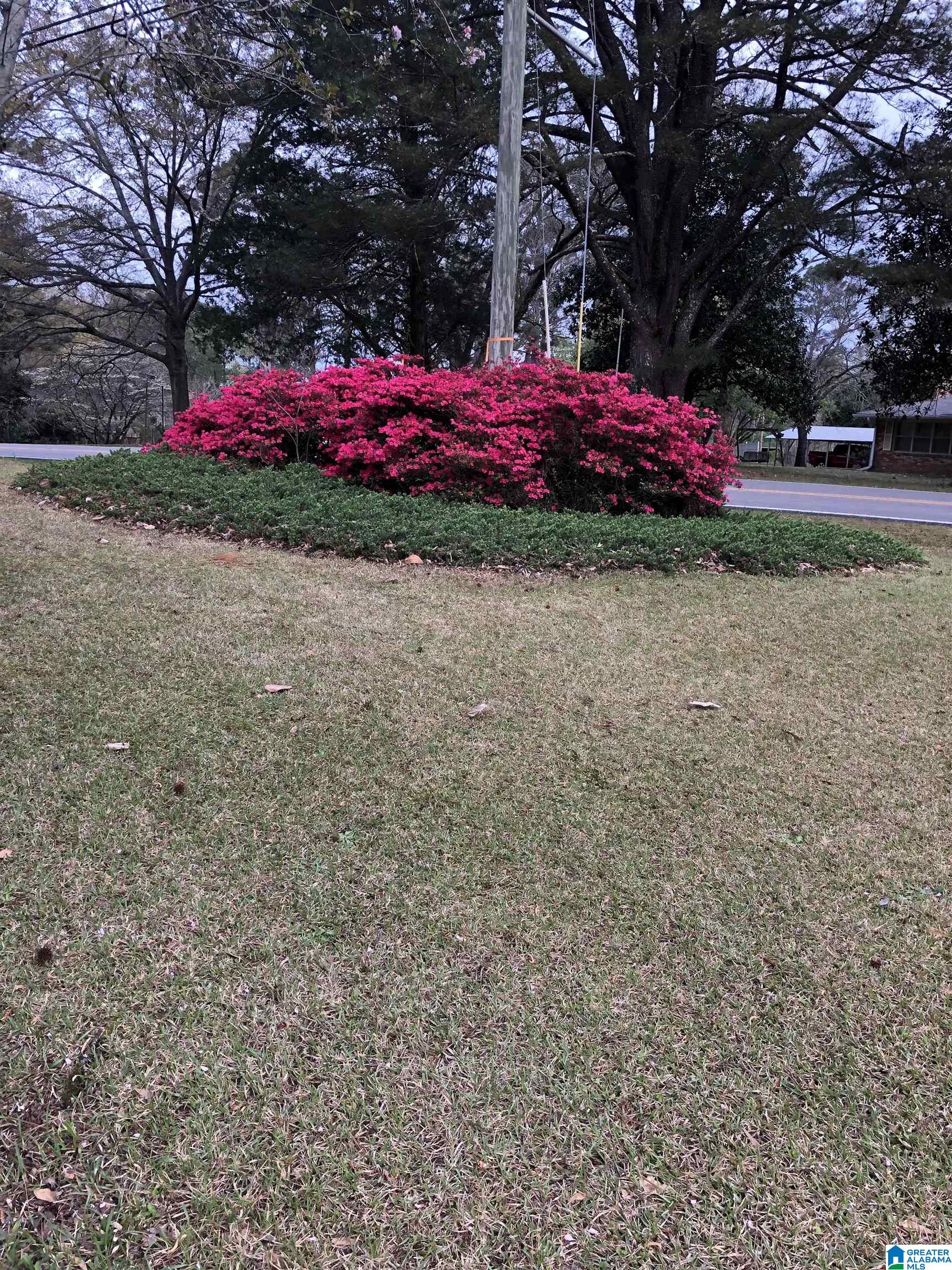981 Morris Majestic Road Morris, AL 35116 - Photo 6 of 36