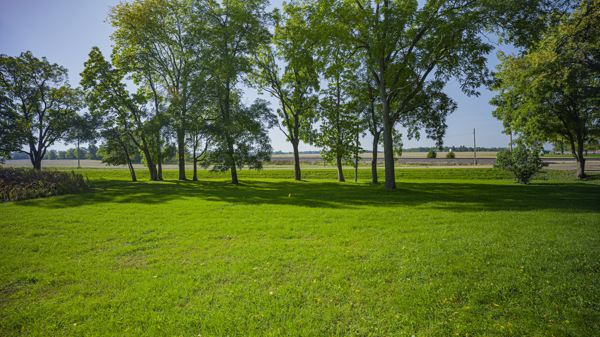 9282 East Hemstock Road Rochelle, IL 61068 - Photo 35 of 68 a view of a big yard with a big trees
