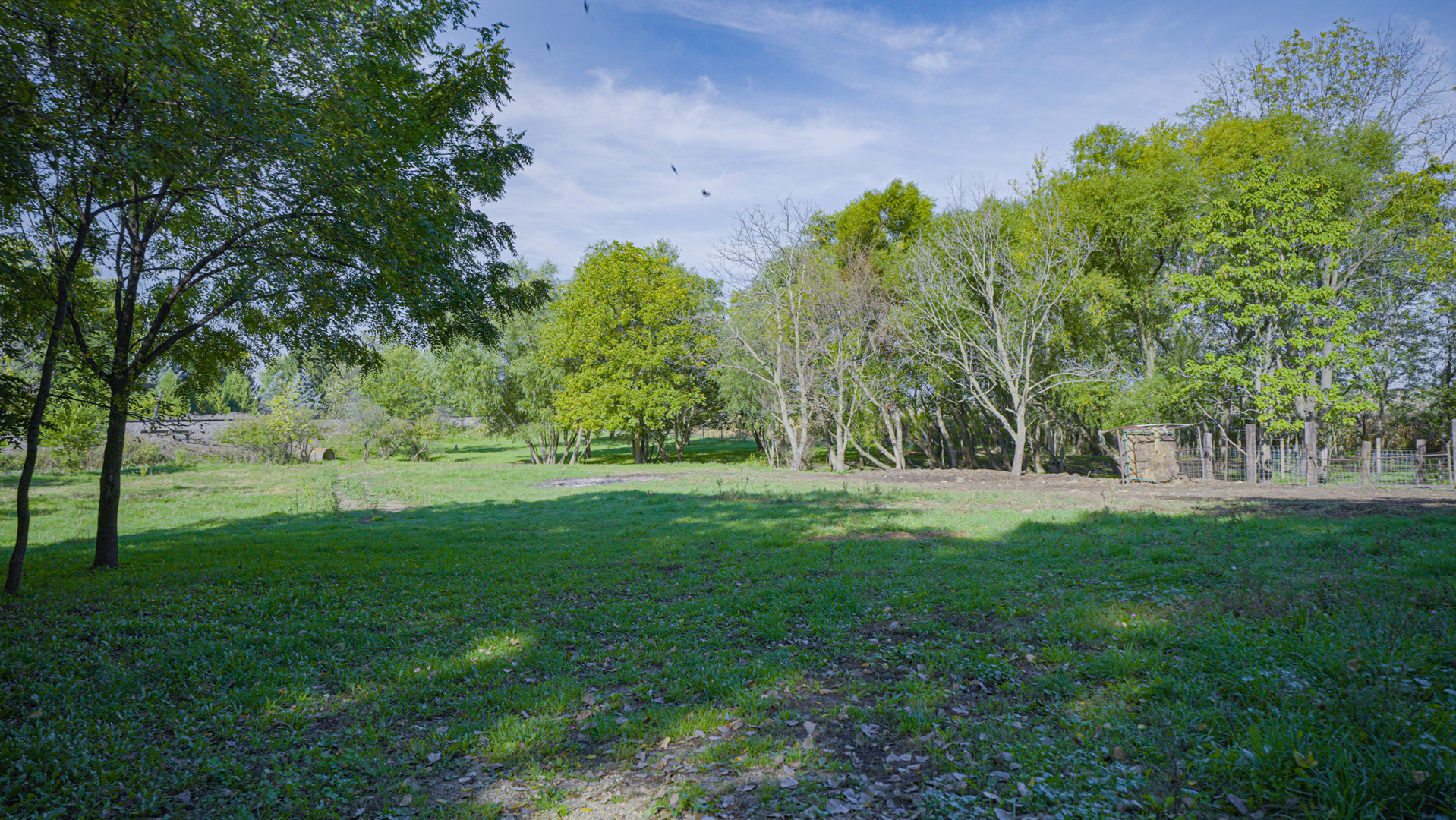 9282 East Hemstock Road Rochelle, IL 61068 - Photo 37 of 68
