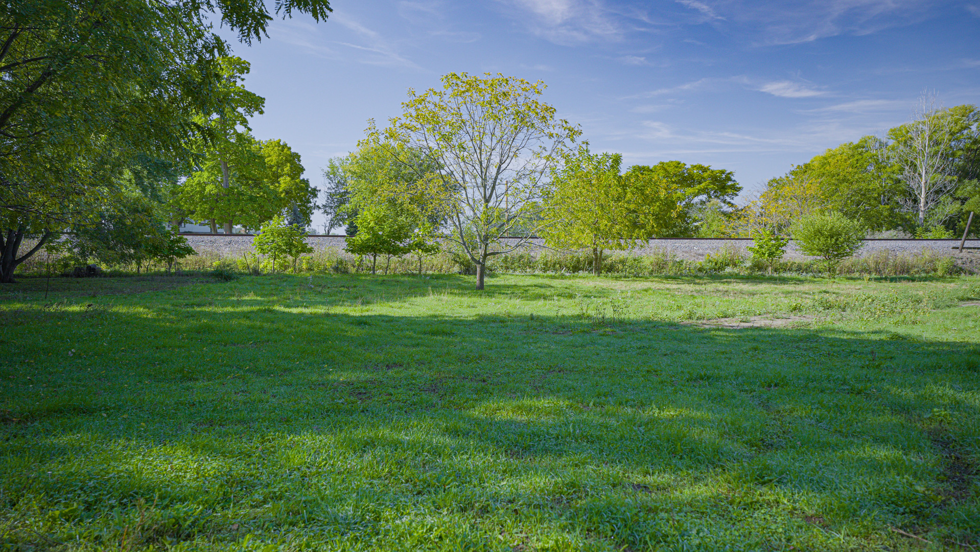 9282 East Hemstock Road Rochelle, IL 61068 - Photo 40 of 68 a big yard with lots of green space and plants