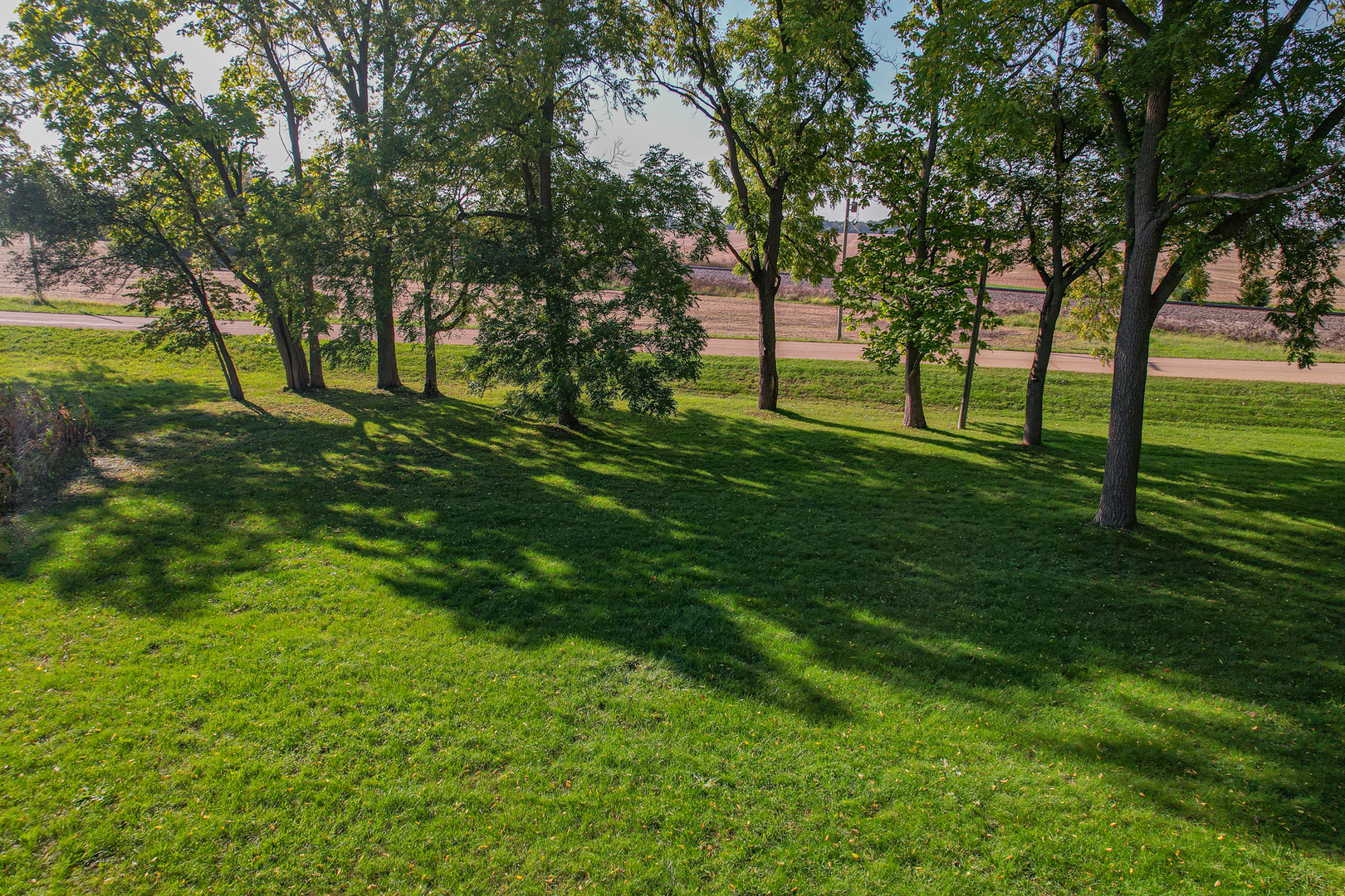 9282 East Hemstock Road Rochelle, IL 61068 - Photo 50 of 68 a huge green field with lots of trees
