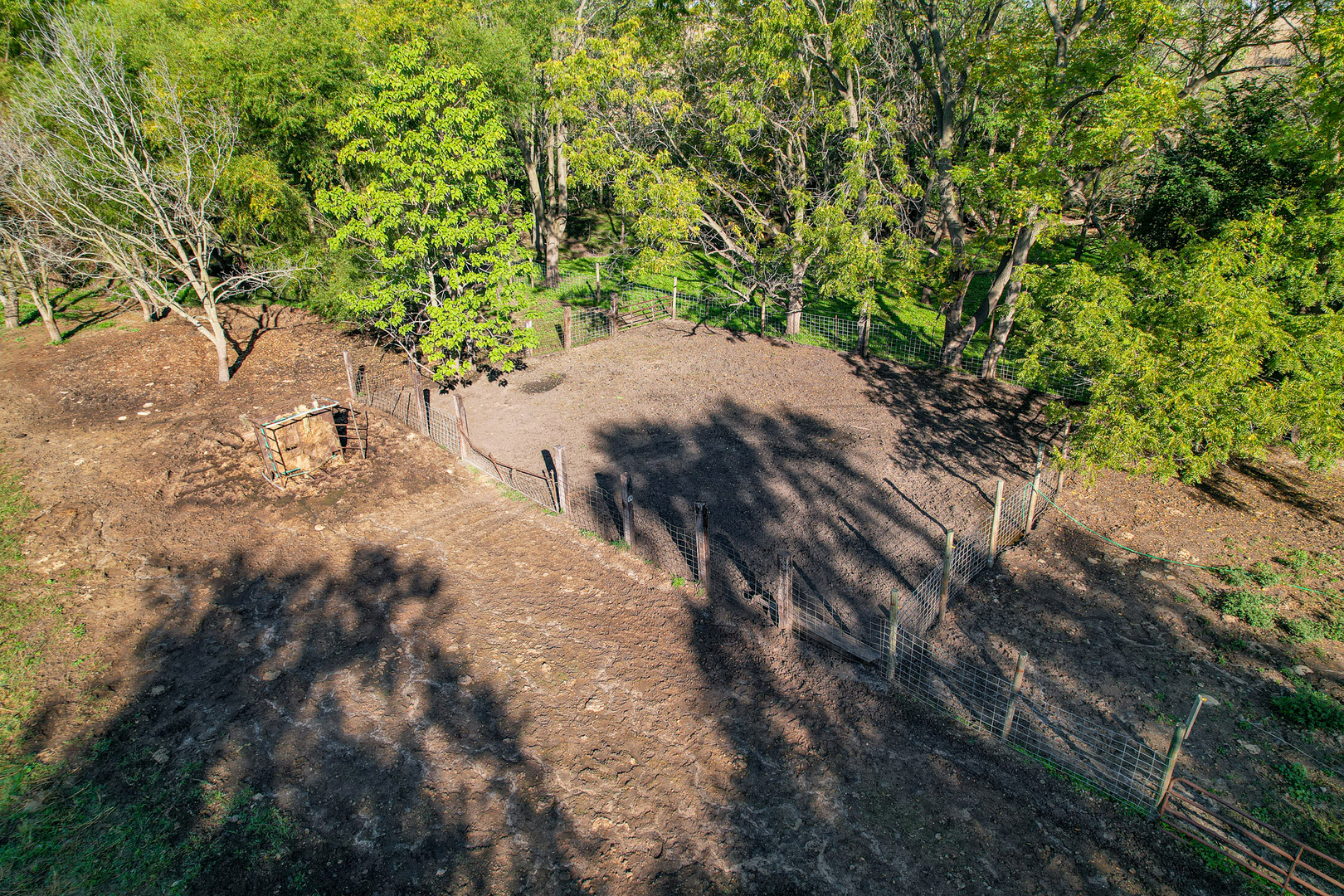 9282 East Hemstock Road Rochelle, IL 61068 - Photo 57 of 68 a view of a yard with plants and trees